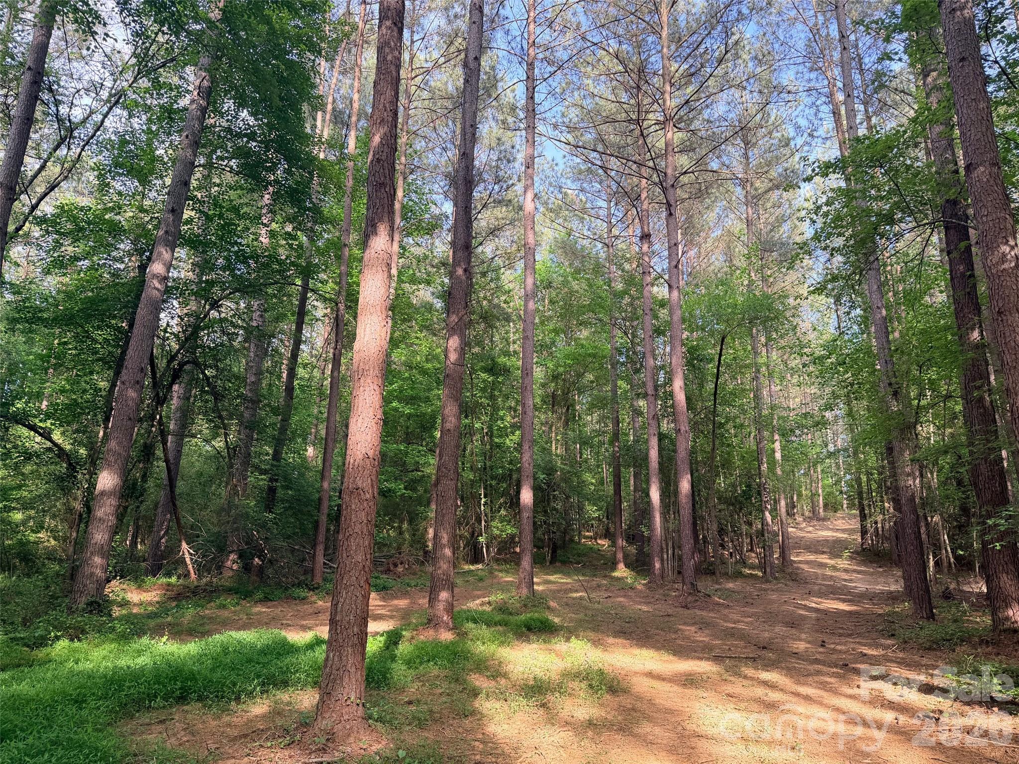 0 Morrow Motor Road Forest City, NC 28043 - Photo 13 of 18 a backyard of a house with lots of trees and plants
