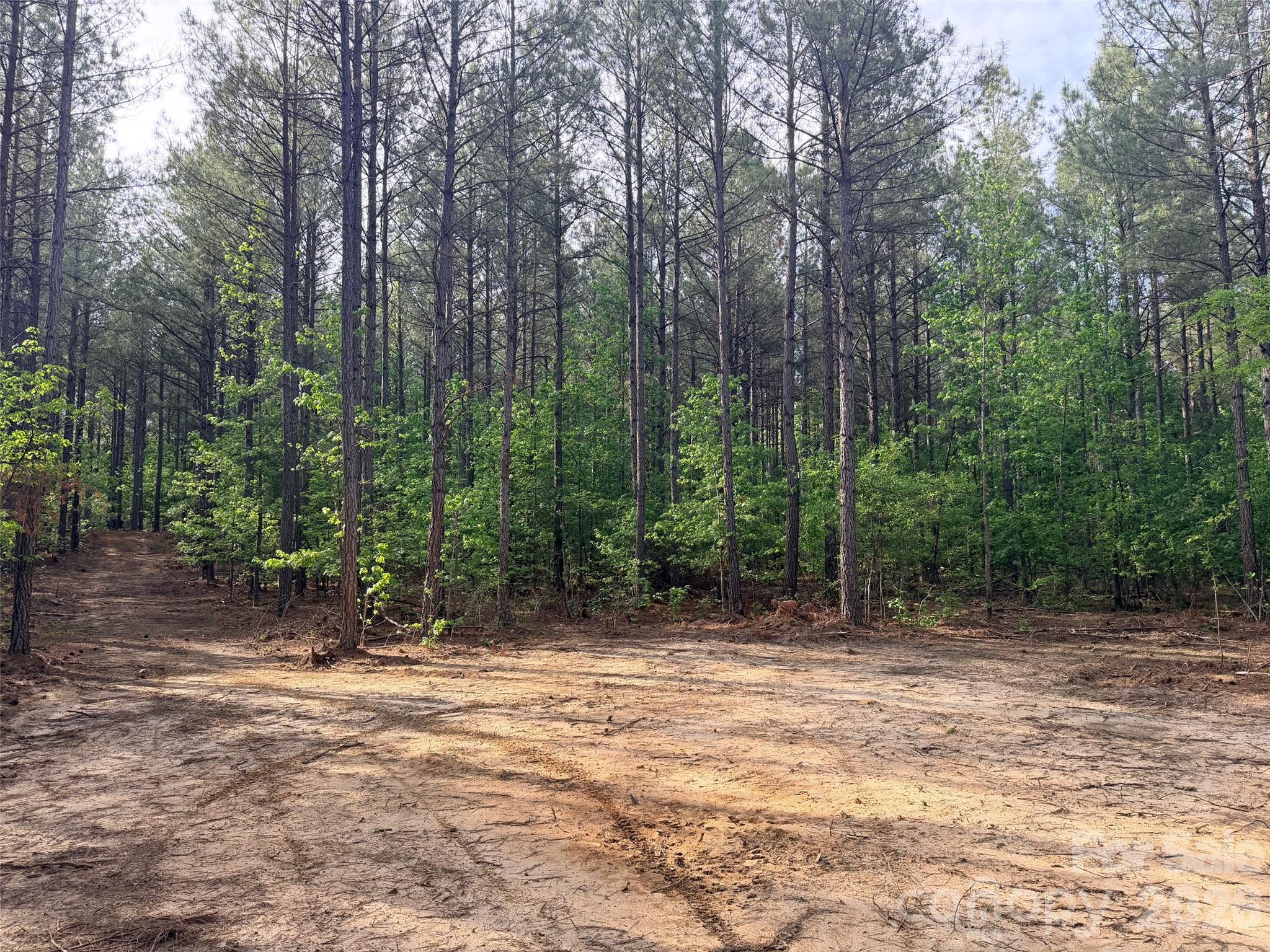 0 Morrow Motor Road Forest City, NC 28043 - Photo 14 of 18 a view of outdoor space with trees