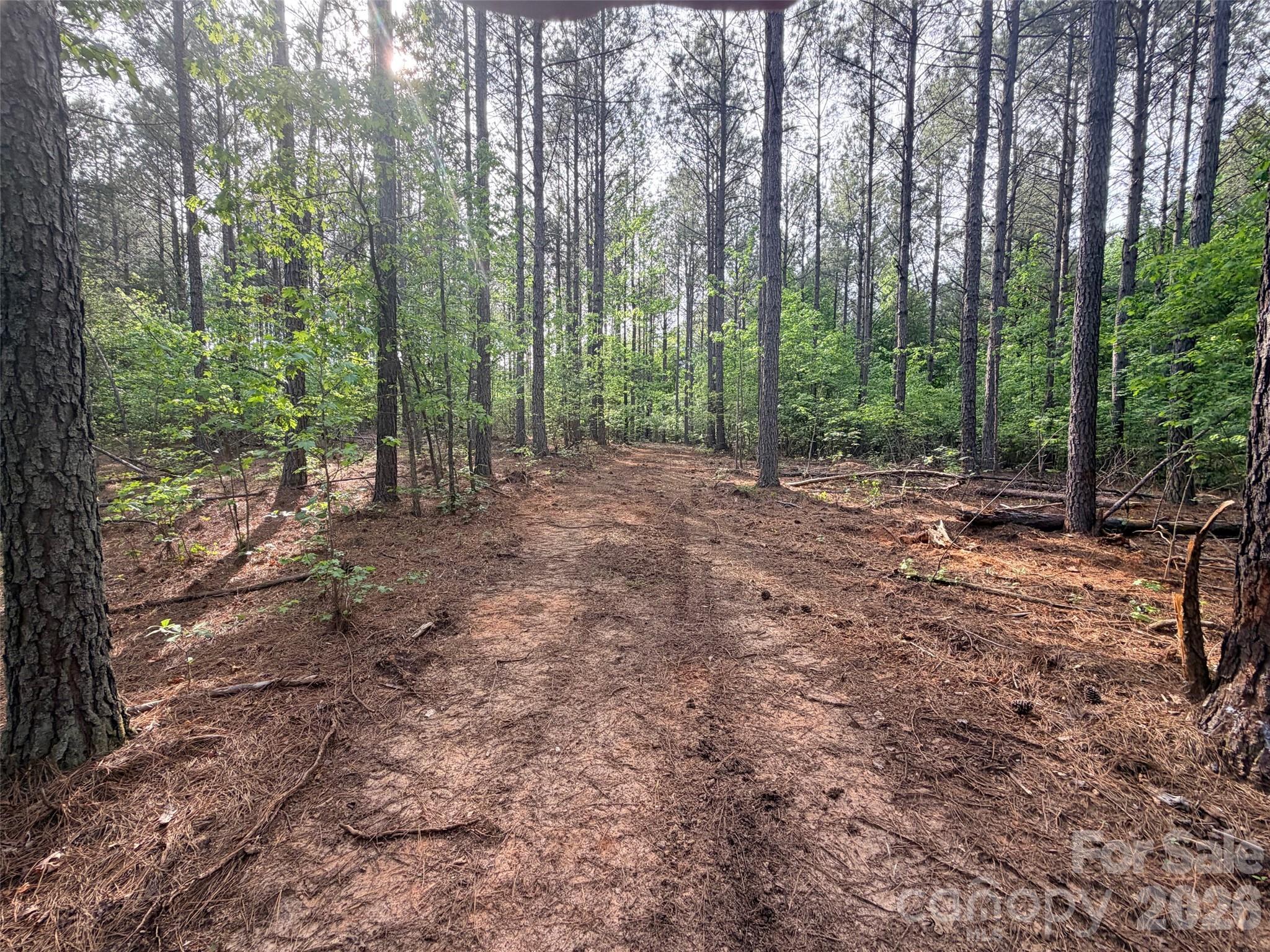0 Morrow Motor Road Forest City, NC 28043 - Photo 16 of 18 a view of a forest with trees in the background