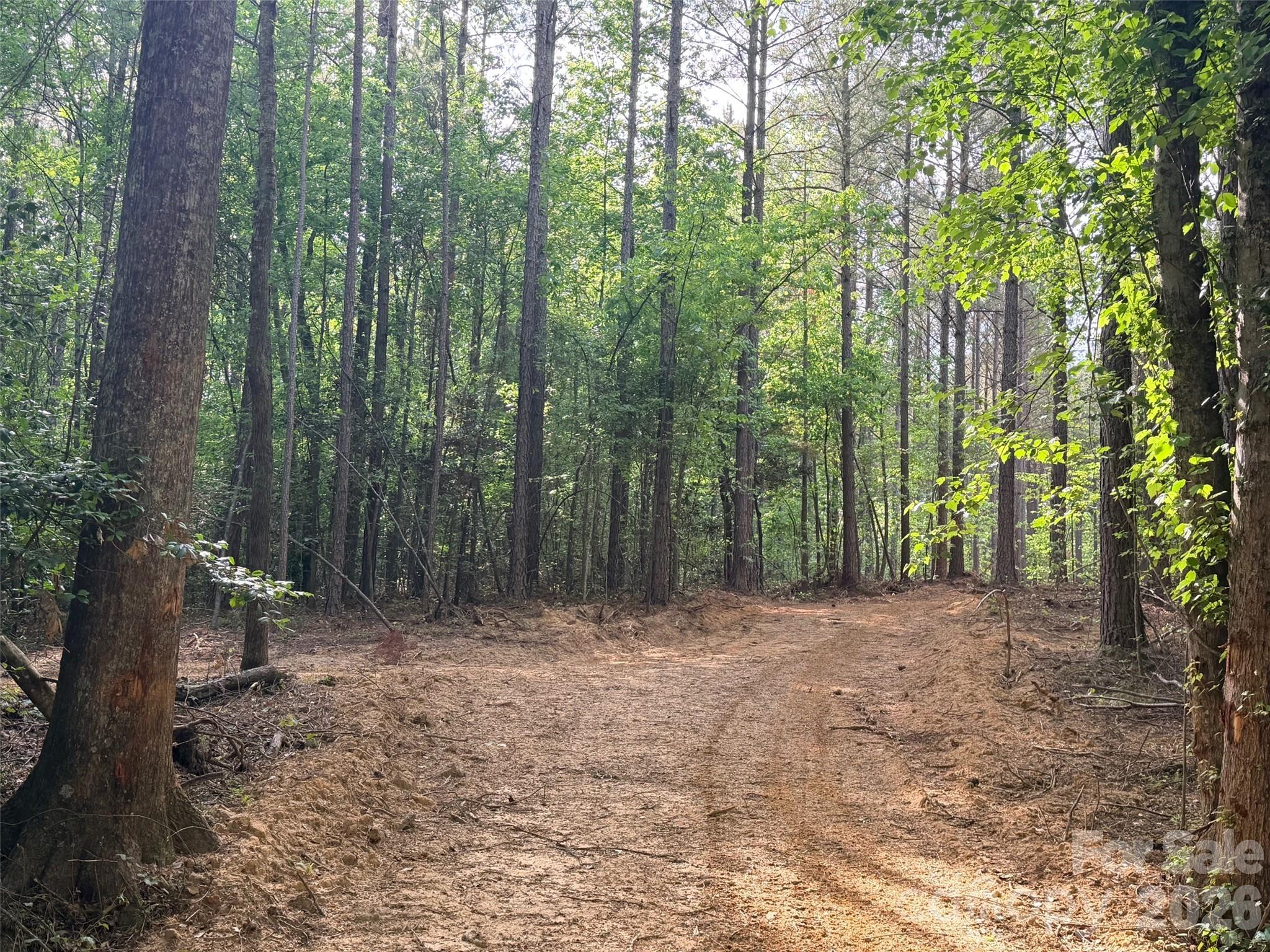 0 Morrow Motor Road Forest City, NC 28043 - Photo 2 of 18 a view of outdoor space with lots of trees