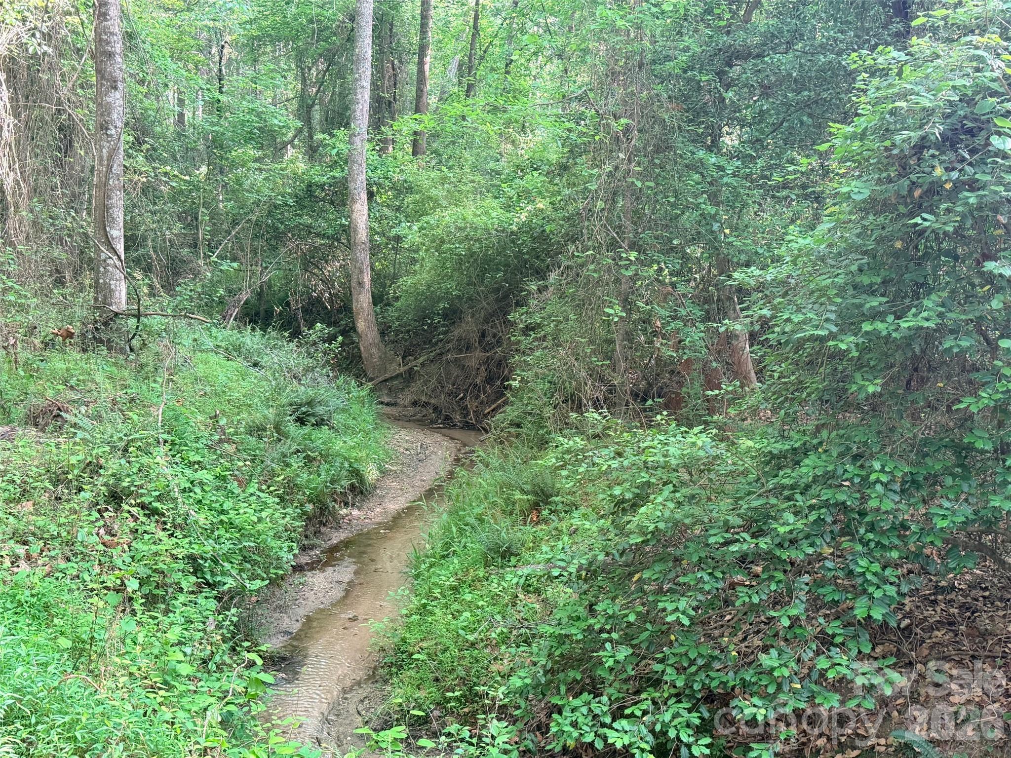 0 Morrow Motor Road Forest City, NC 28043 - Photo 3 of 18 a view of a lush green forest