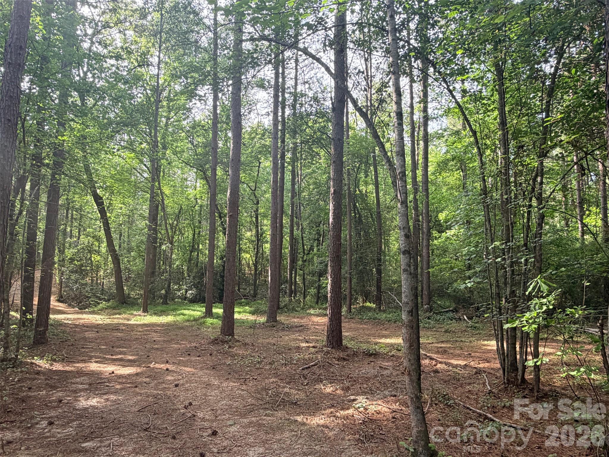 0 Morrow Motor Road Forest City, NC 28043 - Photo 4 of 18 a view of a forest with trees