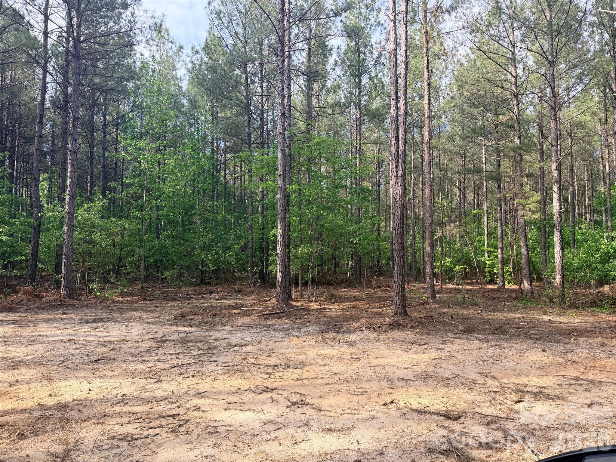 0 Morrow Motor Road Forest City, NC 28043 - Photo 5 of 18 a backyard of a house with lots of green space