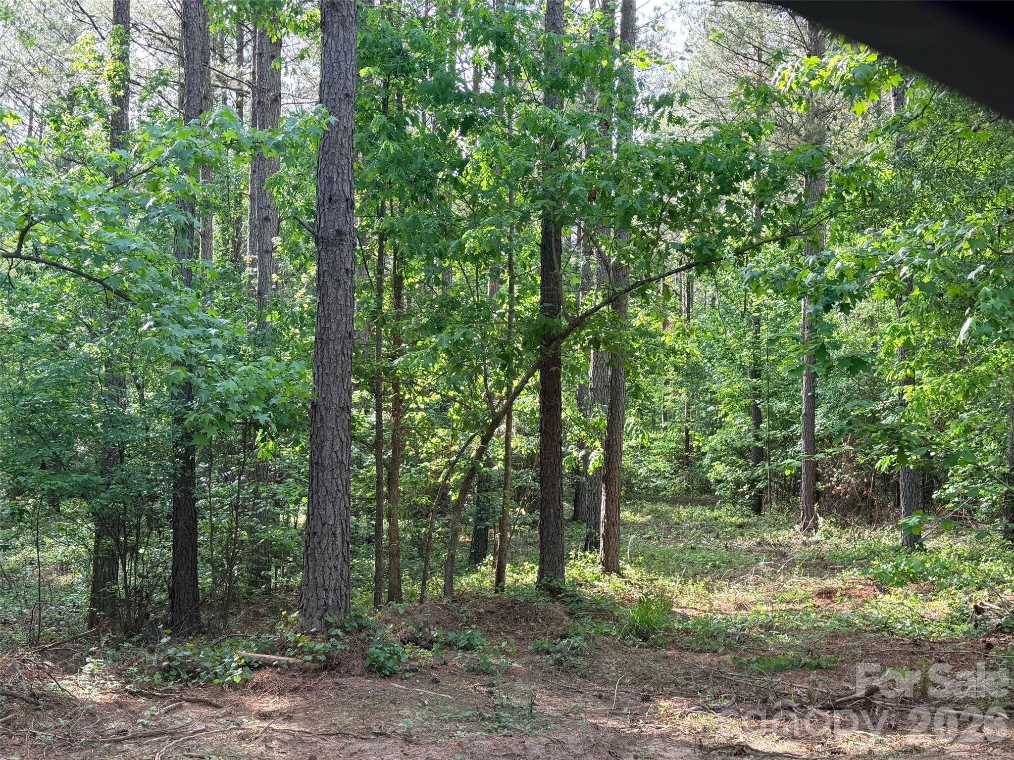 0 Morrow Motor Road Forest City, NC 28043 - Photo 6 of 18 a view of a forest