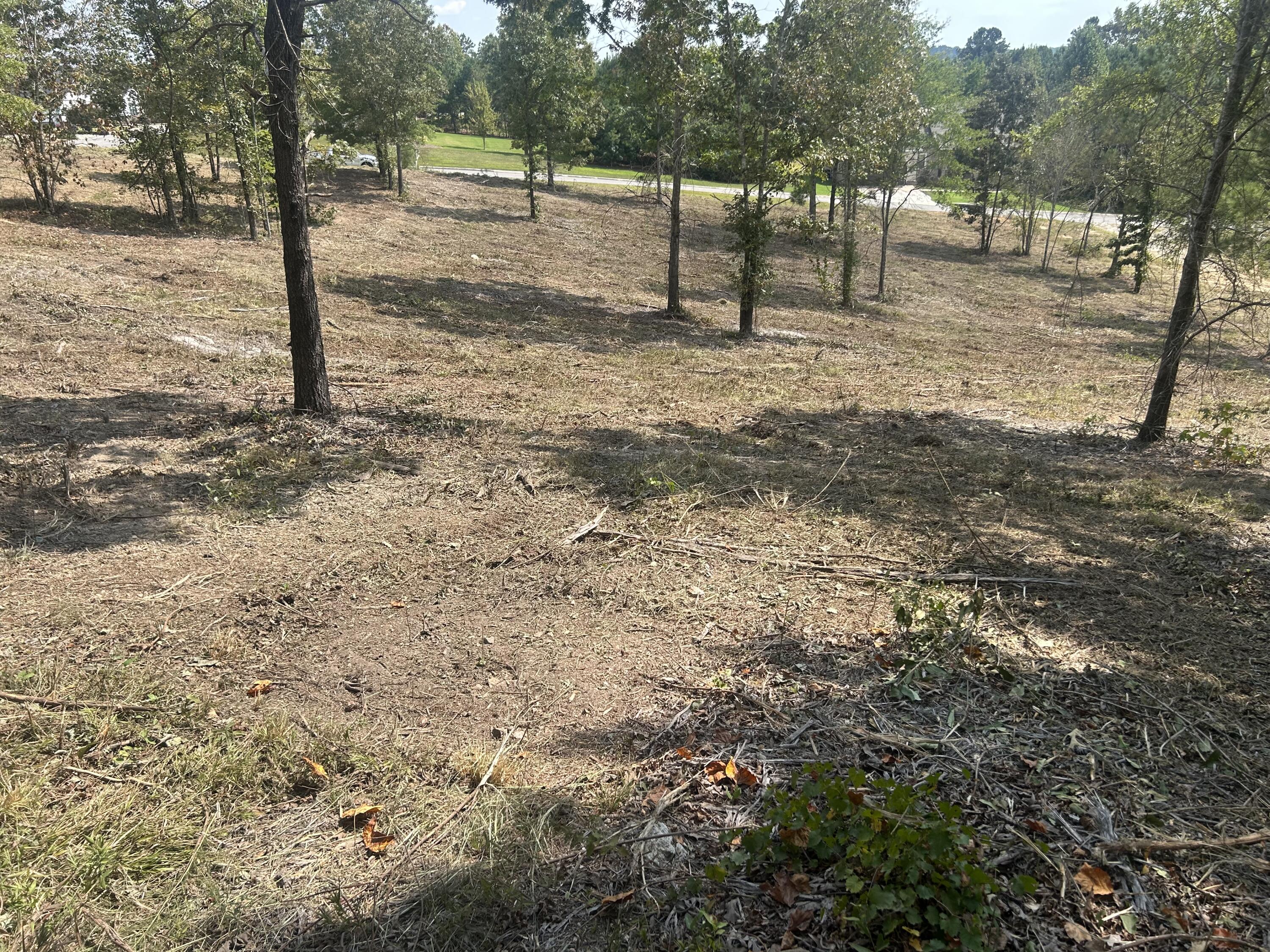 9 Stonegate Place Cohutta, GA 30710 - Photo 11 of 20 IMG_4070