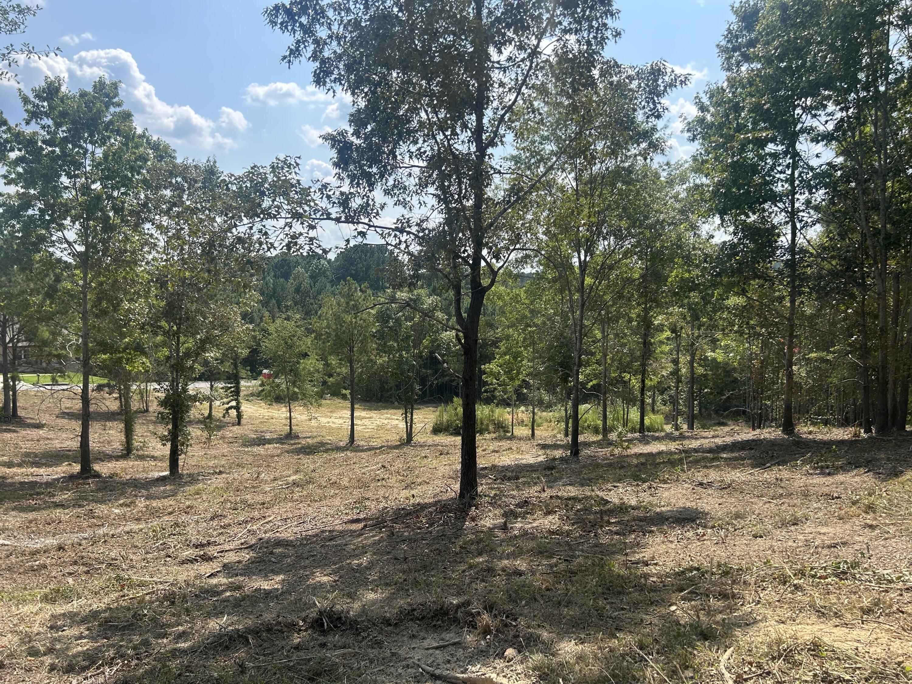 9 Stonegate Place Cohutta, GA 30710 - Photo 12 of 20 IMG_4071