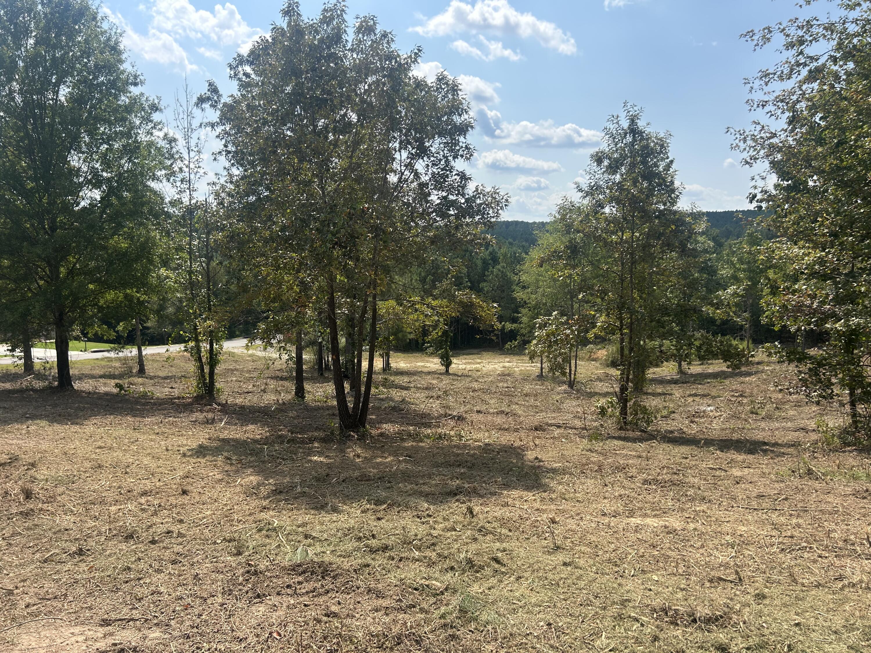 9 Stonegate Place Cohutta, GA 30710 - Photo 15 of 20 IMG_4074