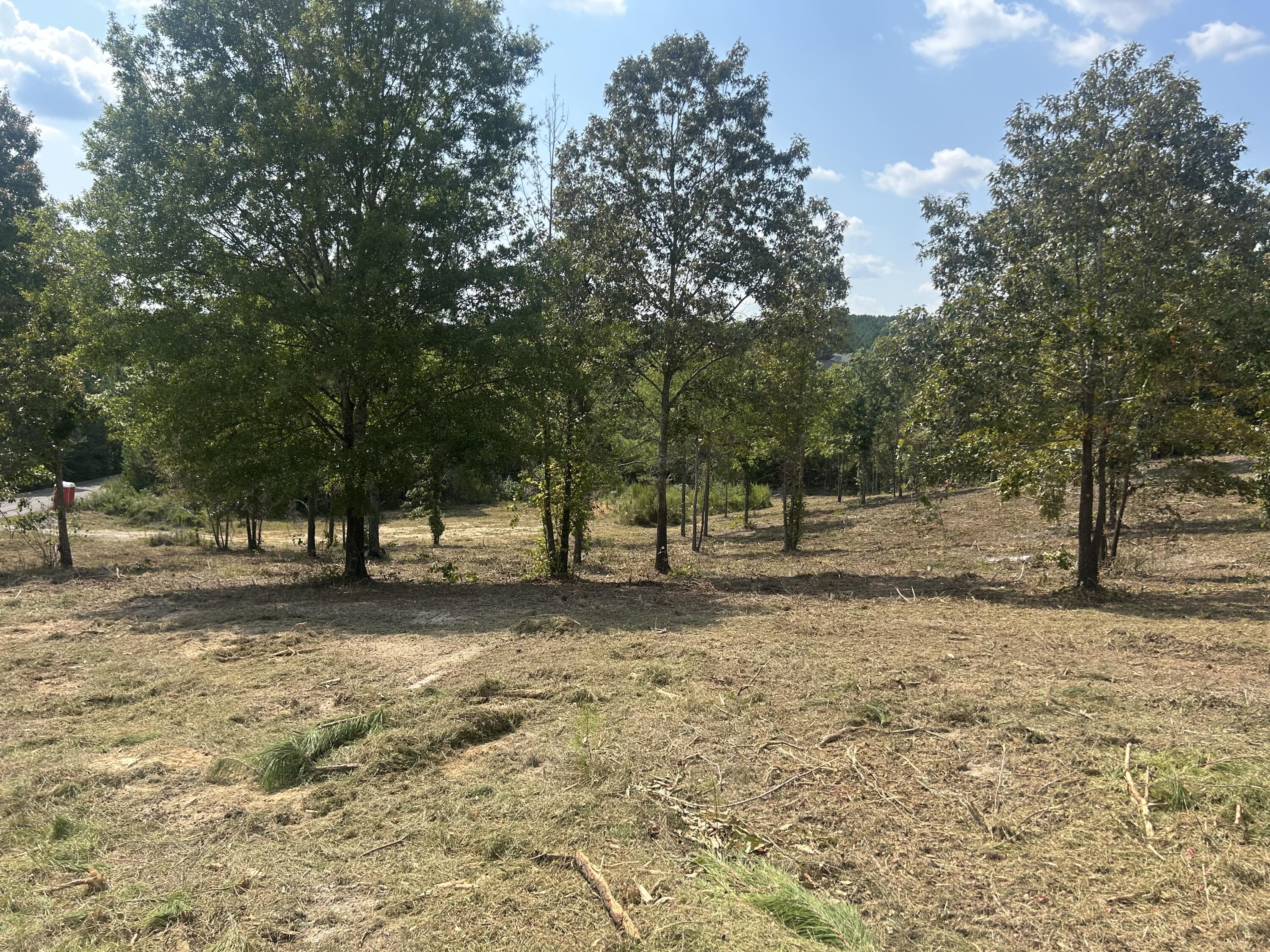 9 Stonegate Place Cohutta, GA 30710 - Photo 17 of 20 IMG_4076