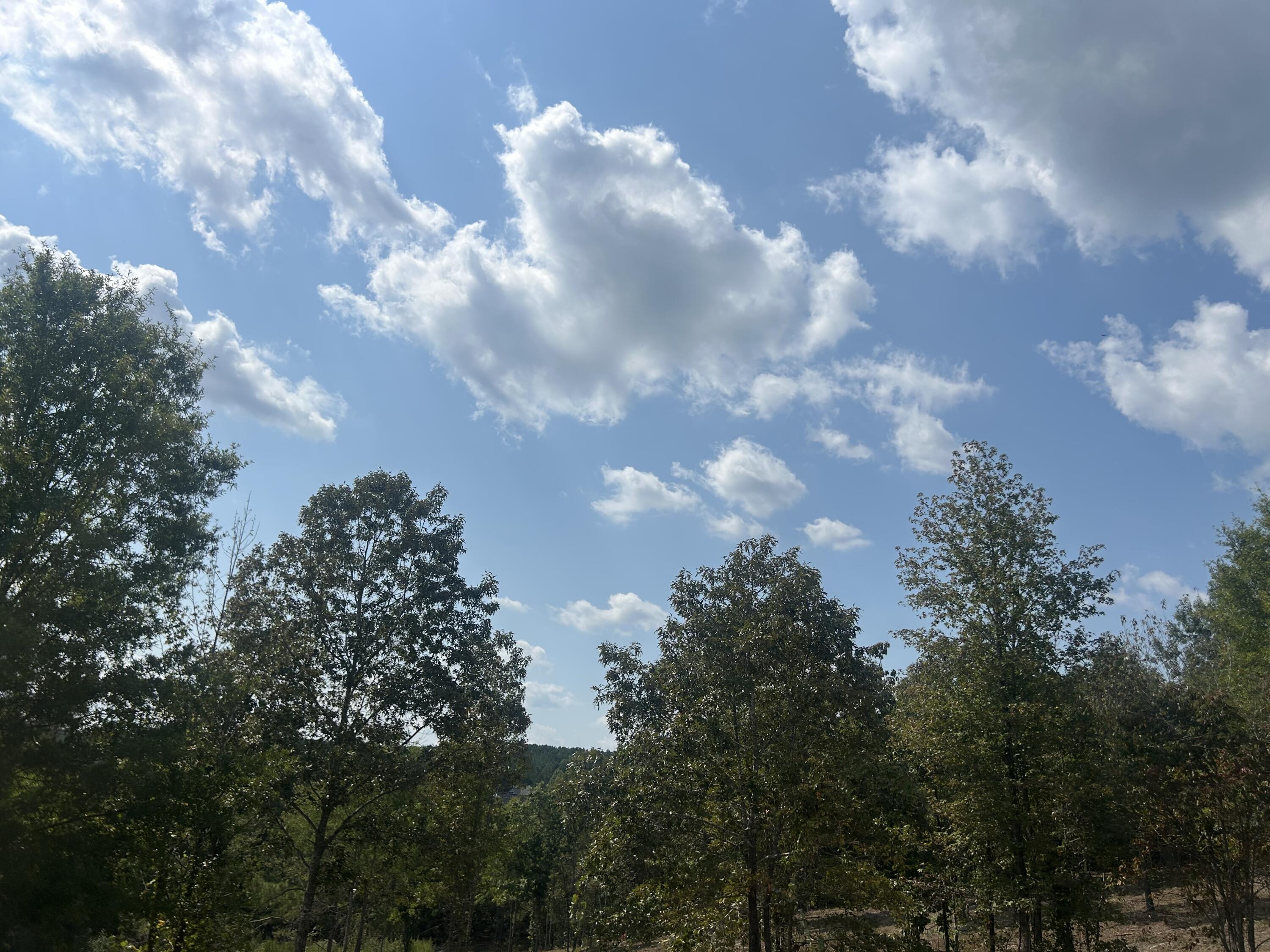 9 Stonegate Place Cohutta, GA 30710 - Photo 18 of 20 IMG_4077