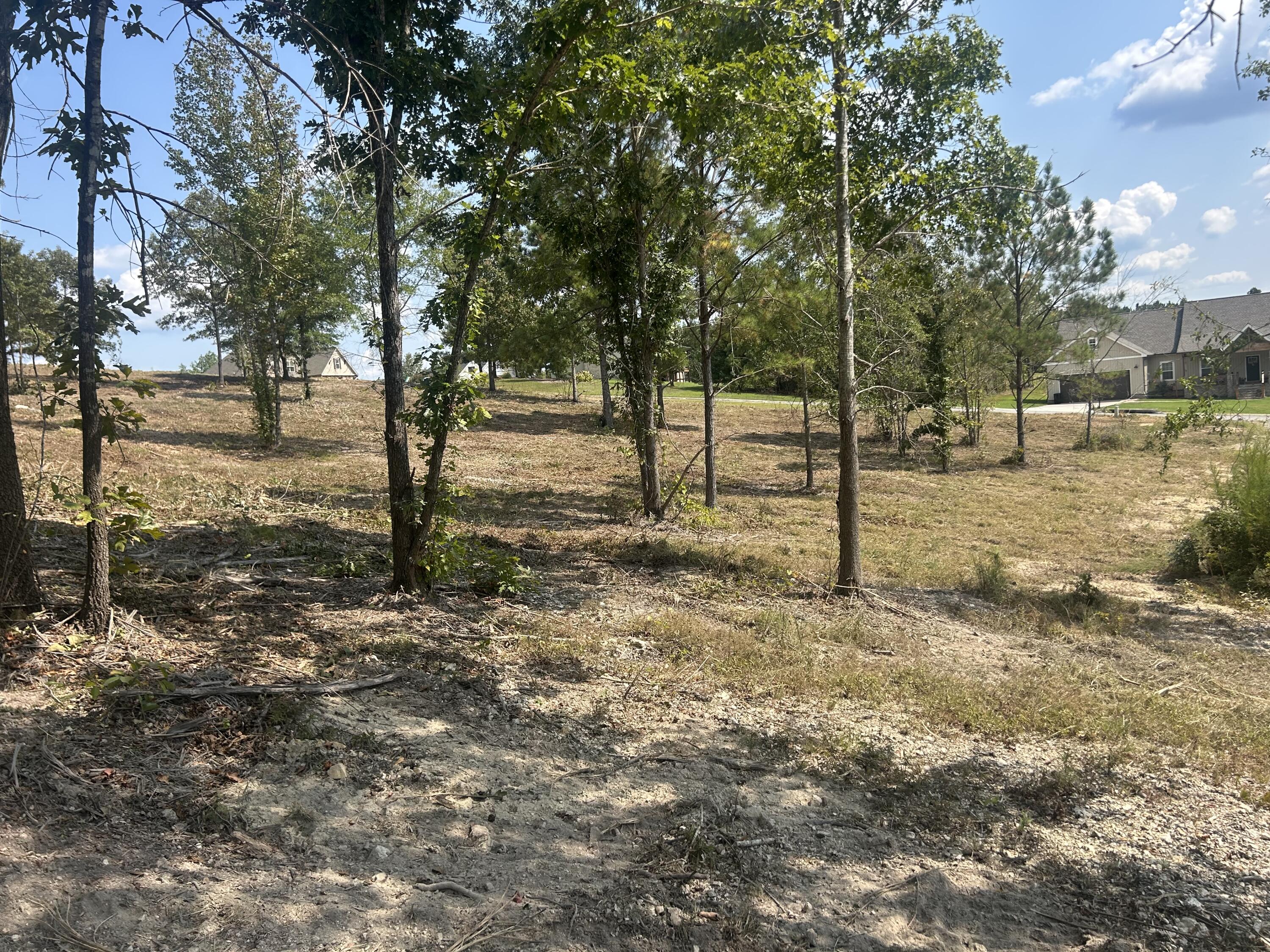 9 Stonegate Place Cohutta, GA 30710 - Photo 2 of 20 IMG_4060