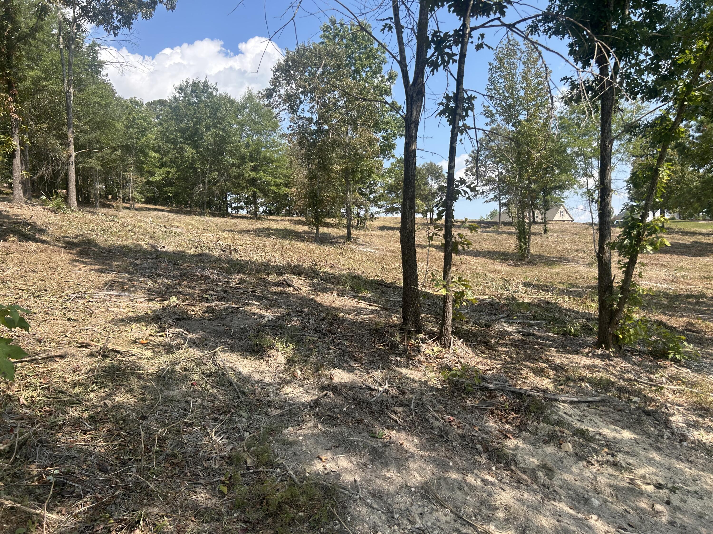 9 Stonegate Place Cohutta, GA 30710 - Photo 3 of 20 IMG_4061