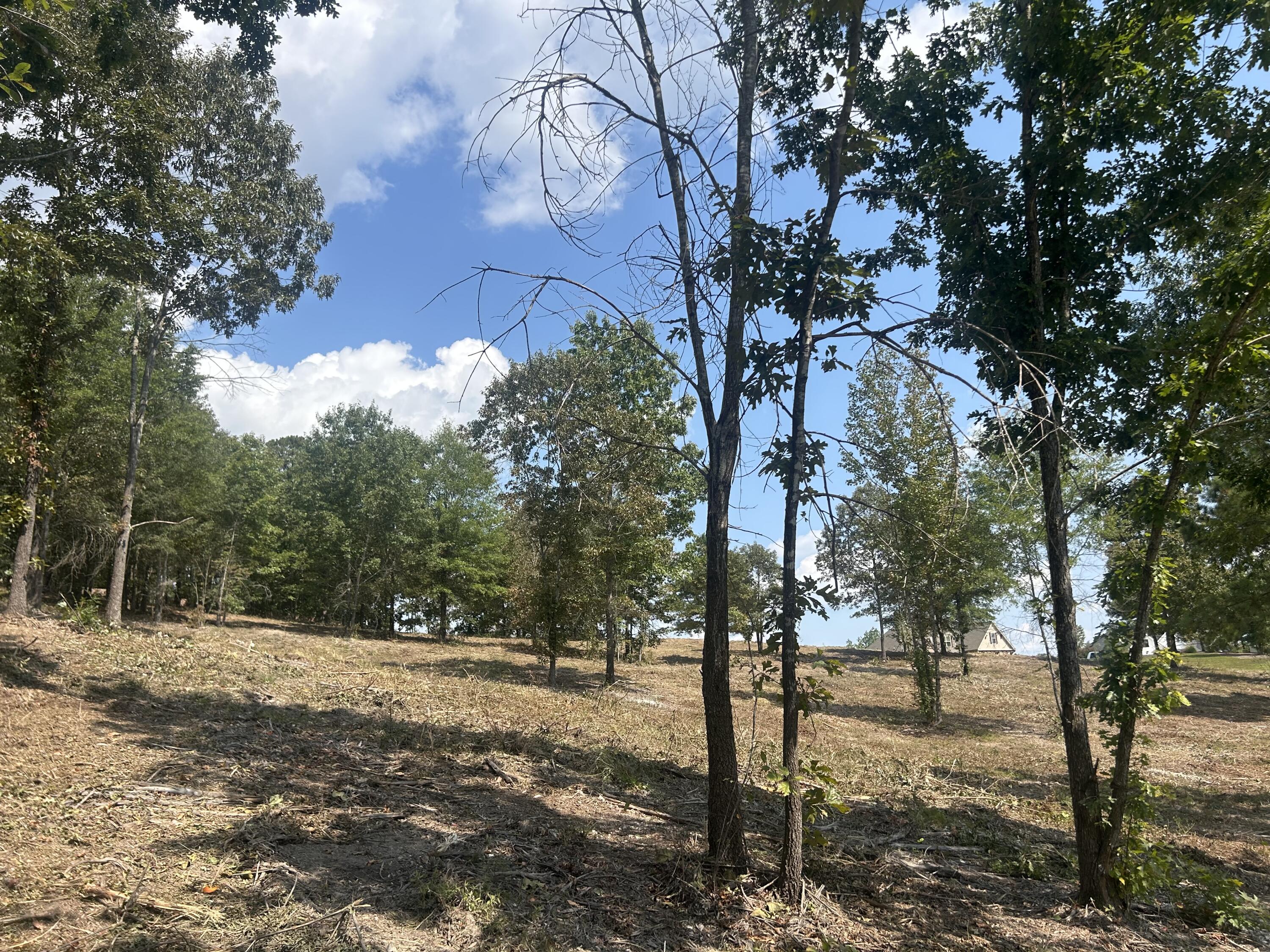 9 Stonegate Place Cohutta, GA 30710 - Photo 4 of 20 IMG_4062