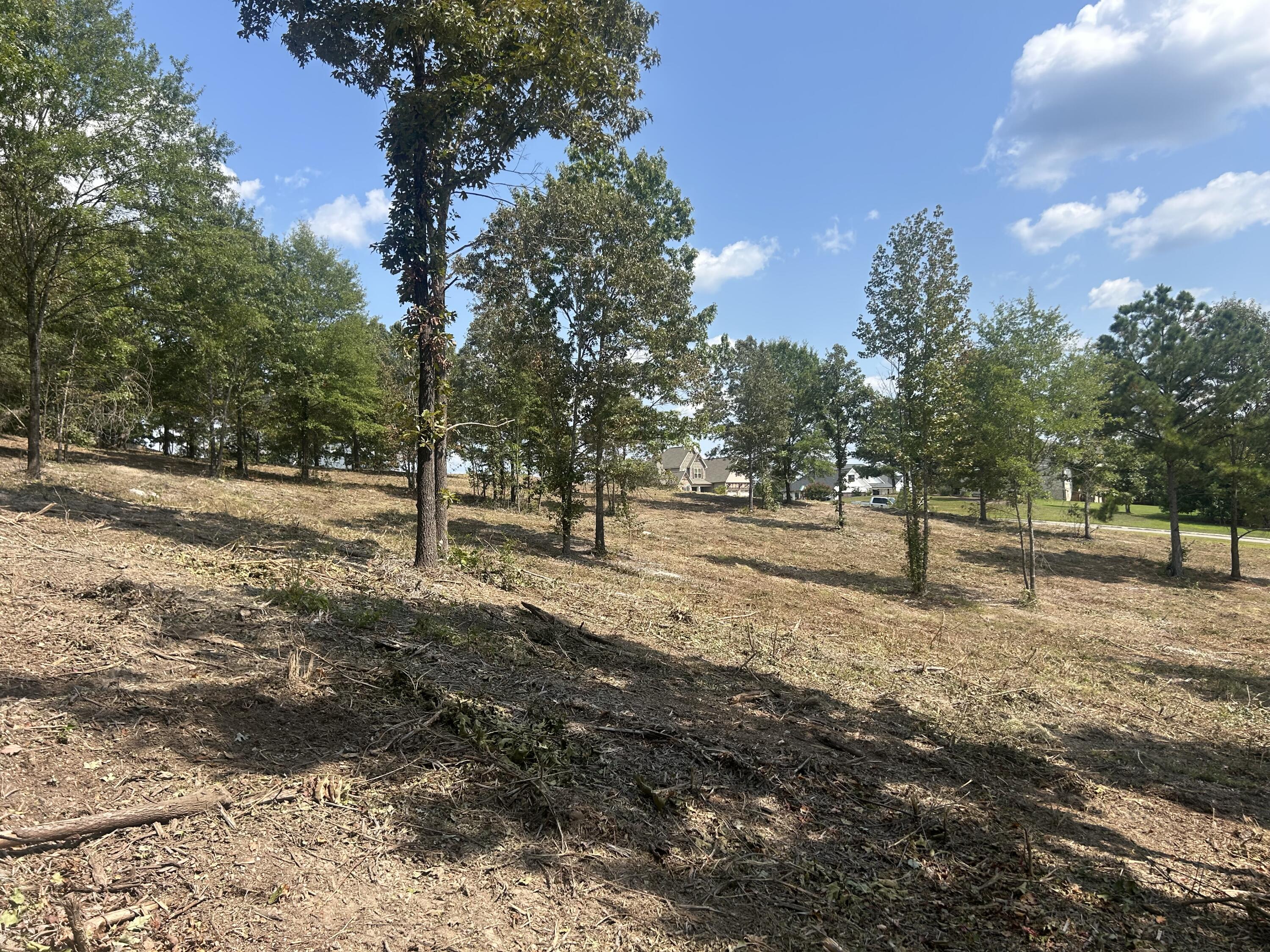 9 Stonegate Place Cohutta, GA 30710 - Photo 5 of 20 IMG_4063
