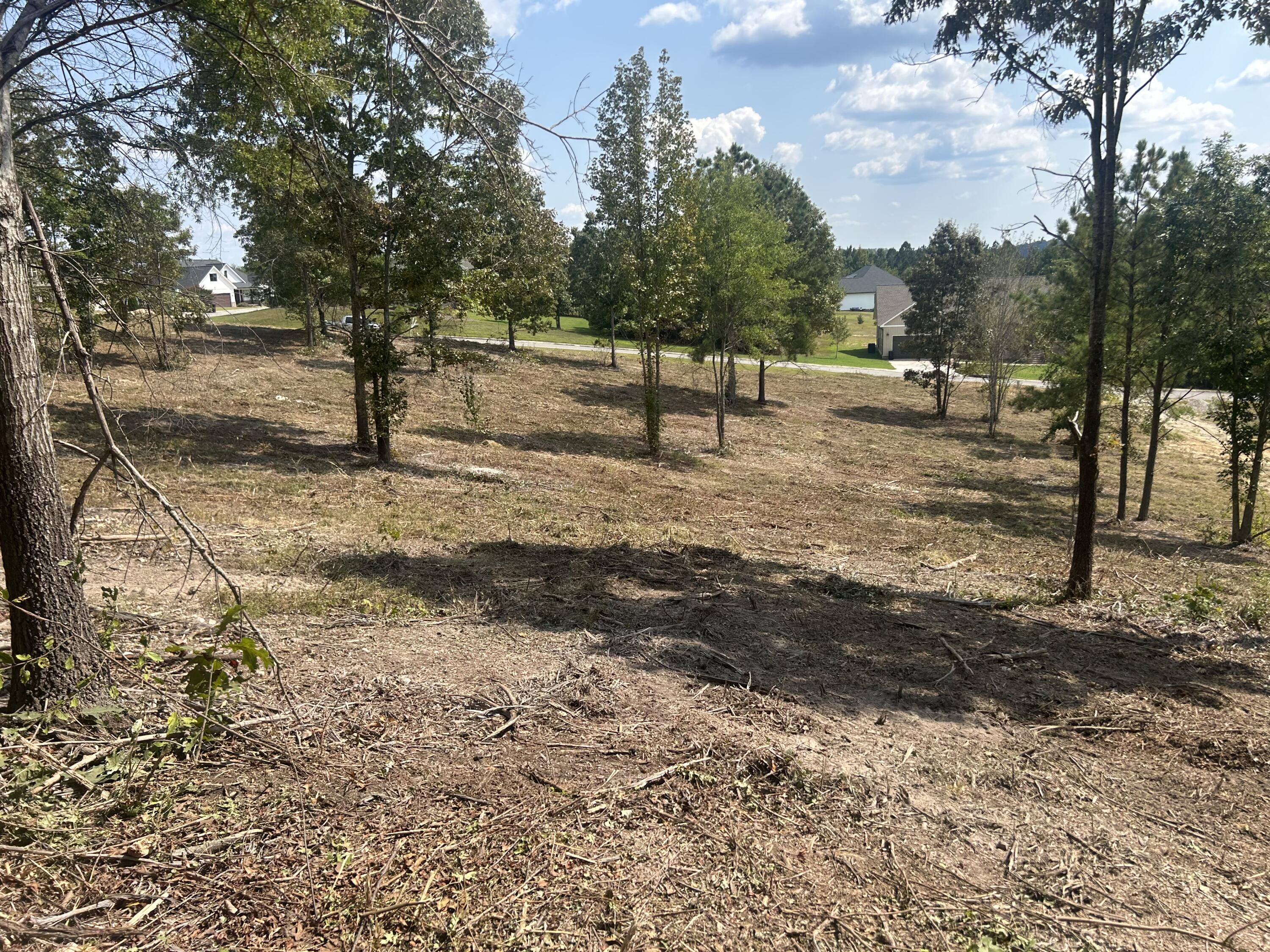 9 Stonegate Place Cohutta, GA 30710 - Photo 6 of 20 IMG_4065