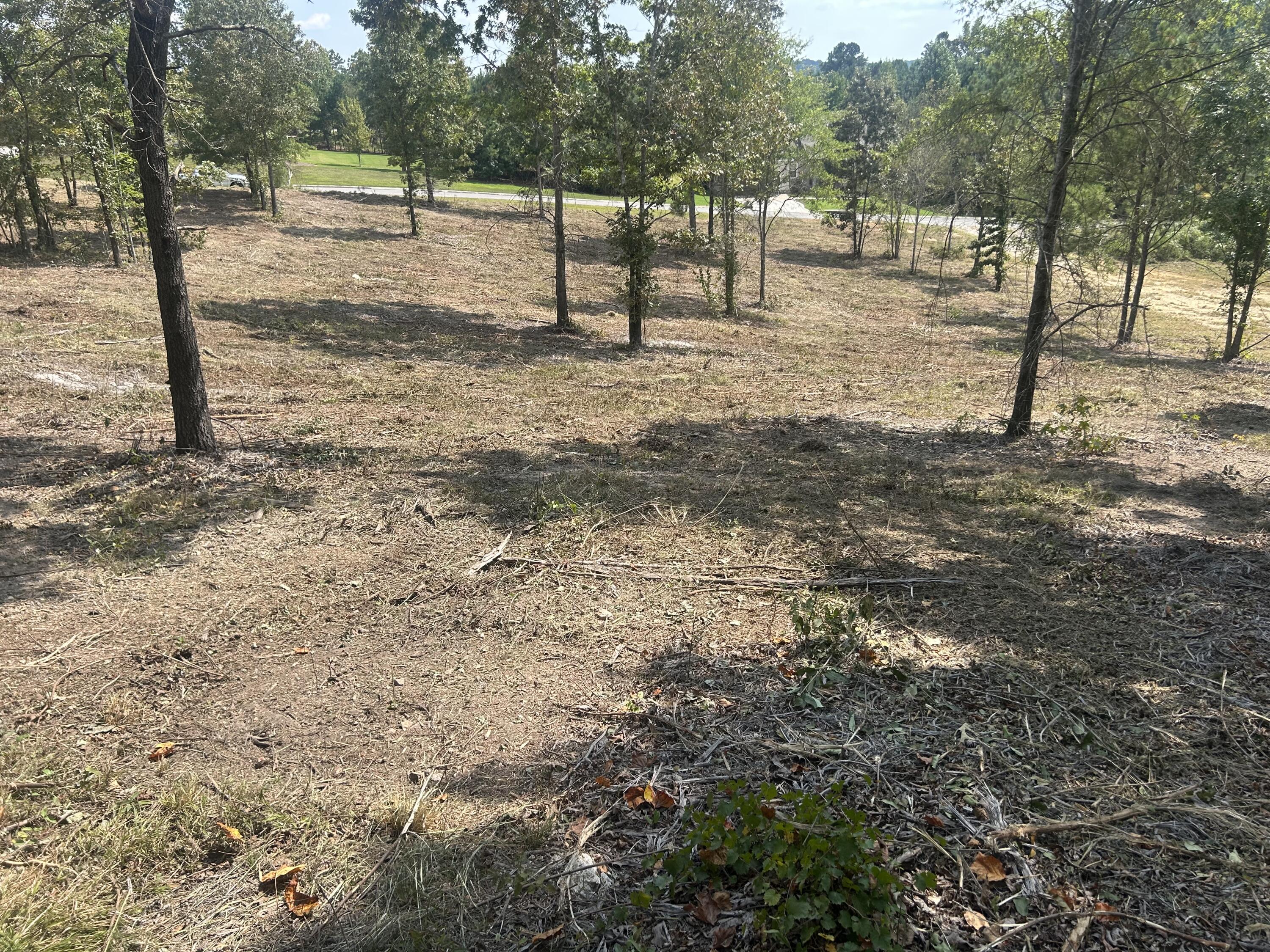 9 Stonegate Place Cohutta, GA 30710 - Photo 7 of 20 IMG_4066