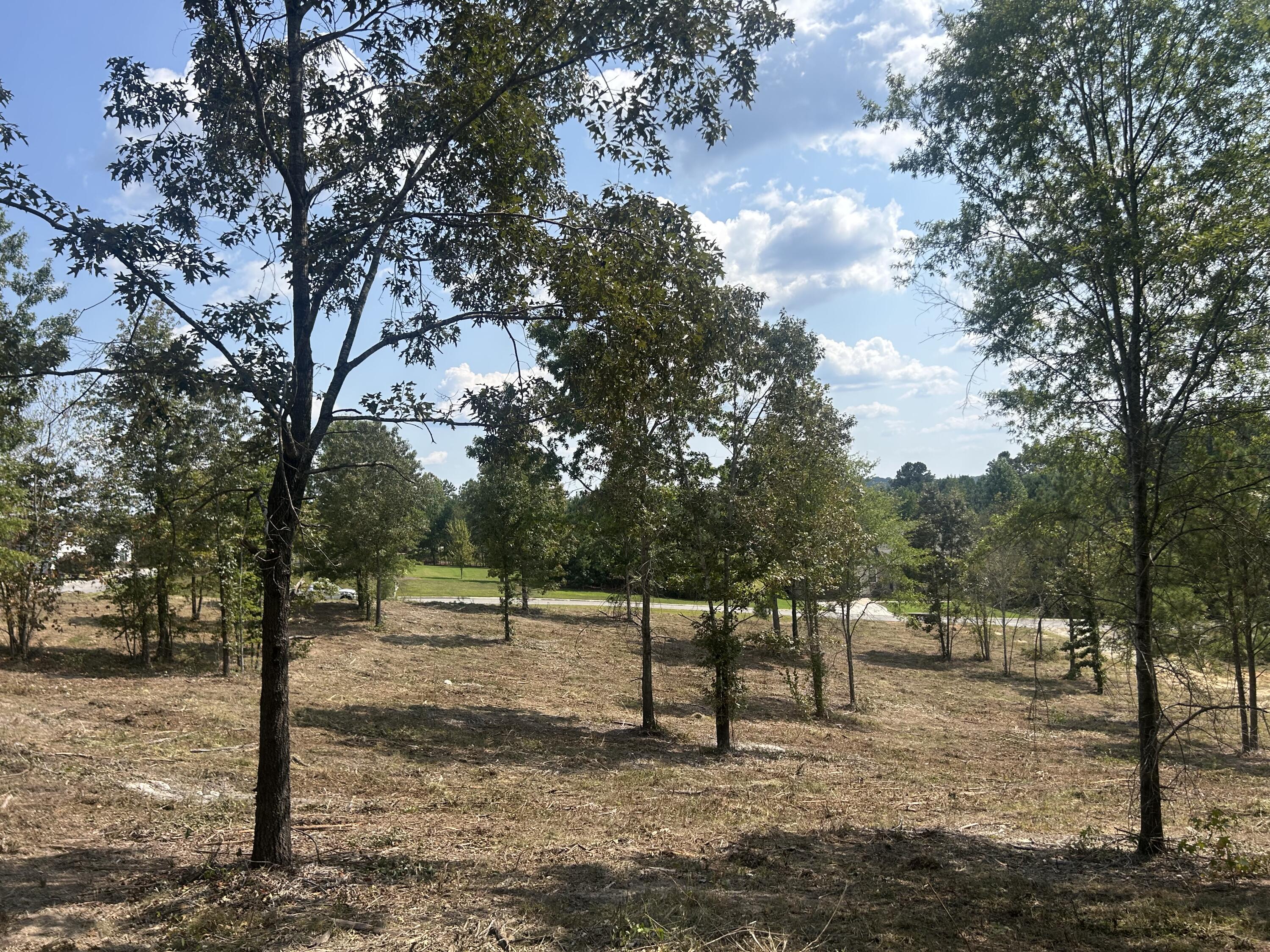 9 Stonegate Place Cohutta, GA 30710 - Photo 8 of 20 IMG_4067