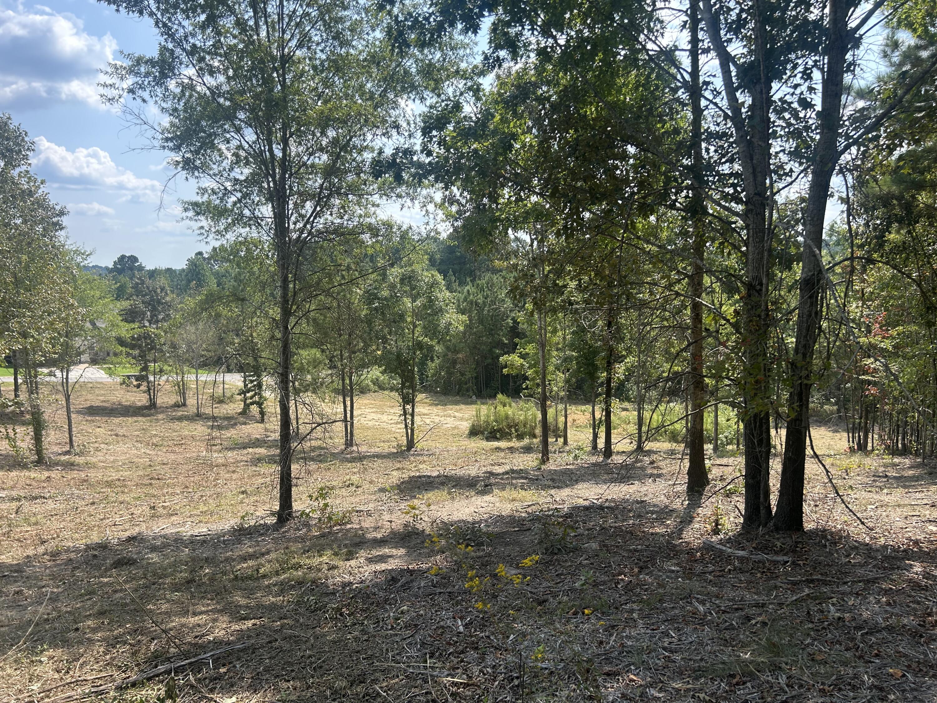9 Stonegate Place Cohutta, GA 30710 - Photo 9 of 20 IMG_4068