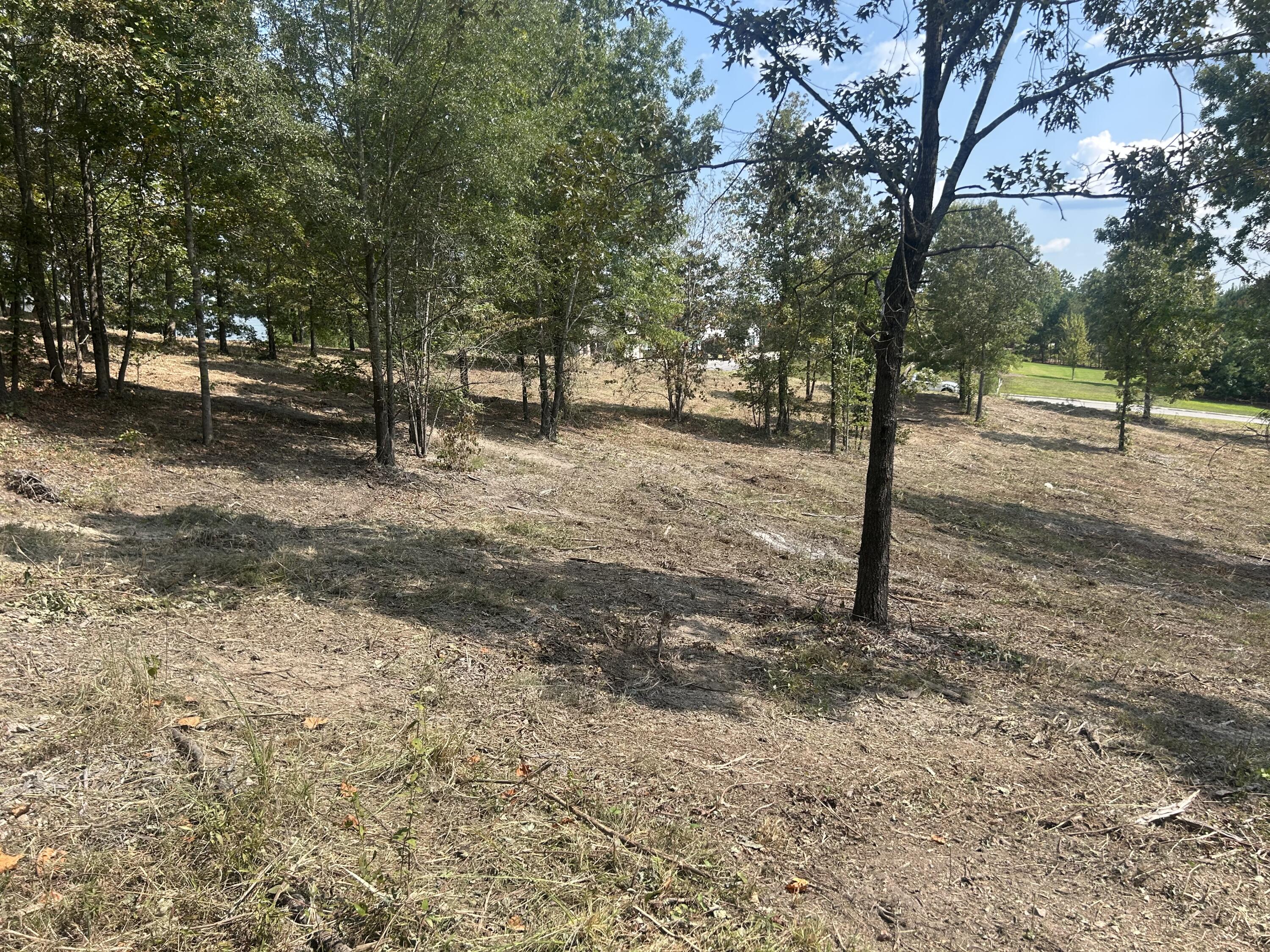 9 Stonegate Place Cohutta, GA 30710 - Photo 10 of 20 IMG_4069