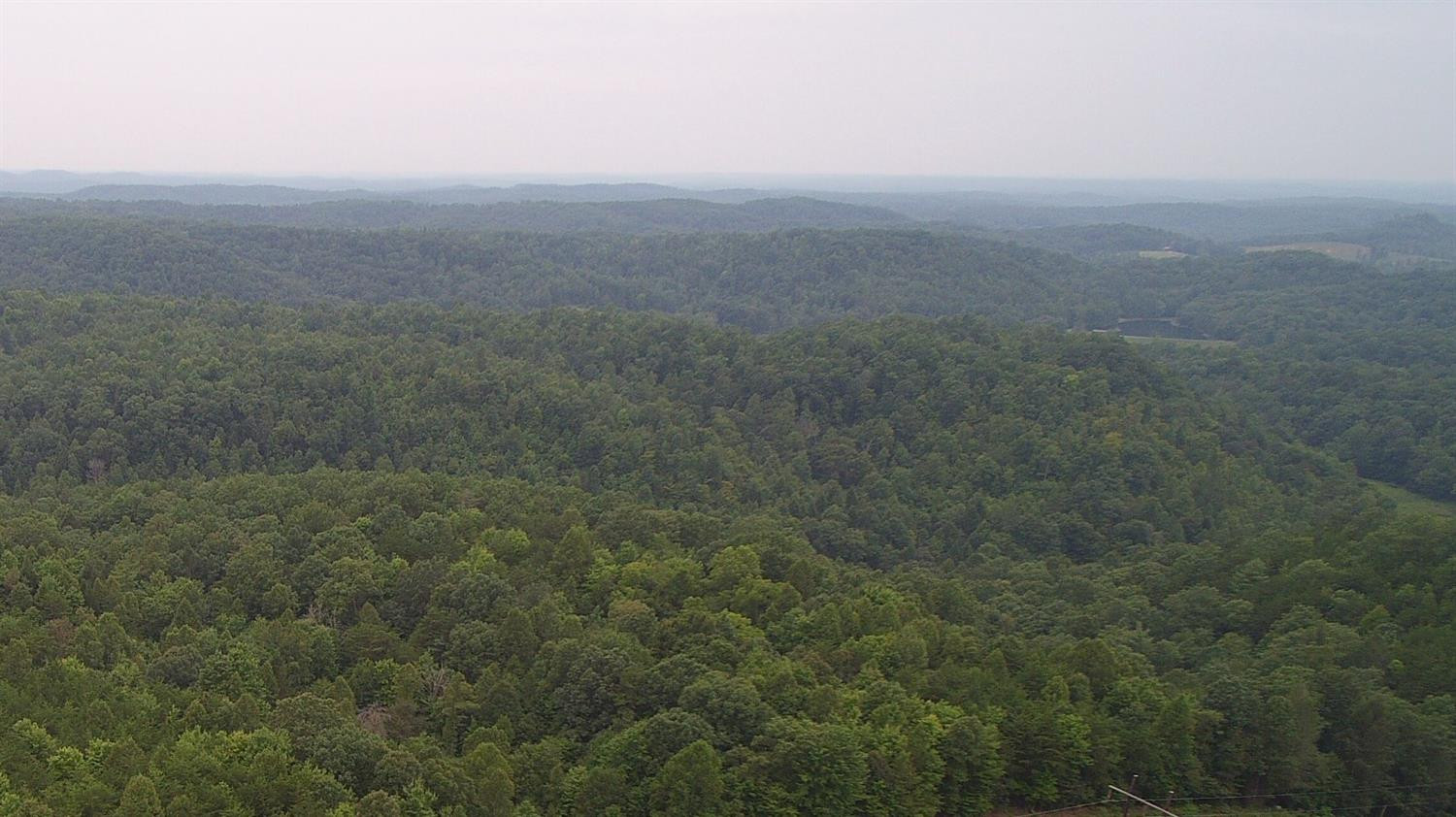 9999 Galimore Road Pine Knot, KY 42635 - Photo 23 of 35 Photo 23