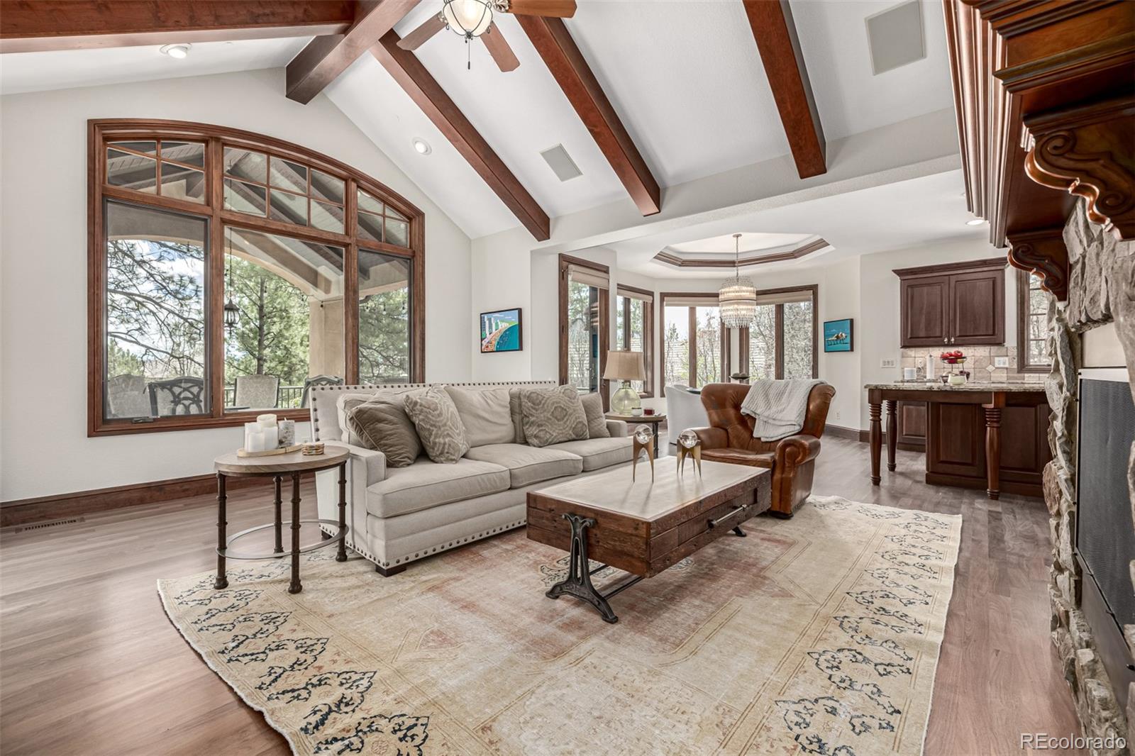 648 Ruby Trust Drive Castle Rock, CO 80108 - Photo 14 of 49 a living room with furniture a fireplace and a large window