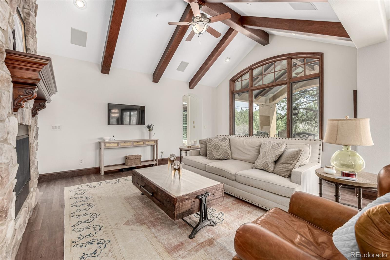 648 Ruby Trust Drive Castle Rock, CO 80108 - Photo 15 of 49 a living room with furniture and a rug