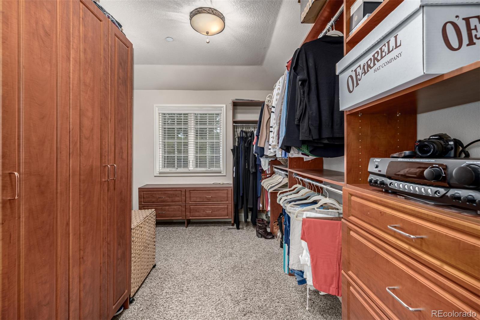 648 Ruby Trust Drive Castle Rock, CO 80108 - Photo 26 of 49 a view of a storage & utility room
