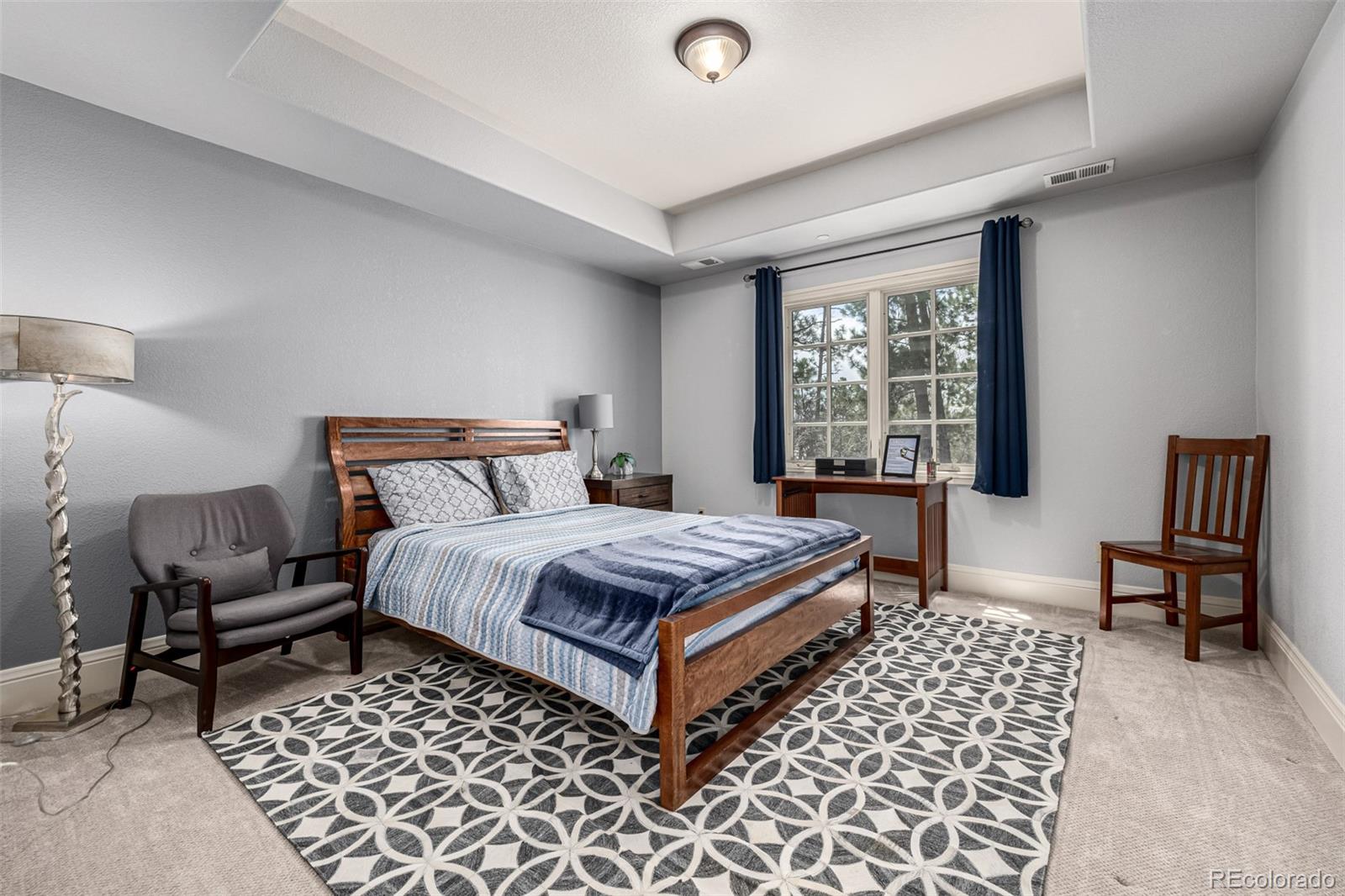 648 Ruby Trust Drive Castle Rock, CO 80108 - Photo 30 of 49 a bedroom with furniture and a window