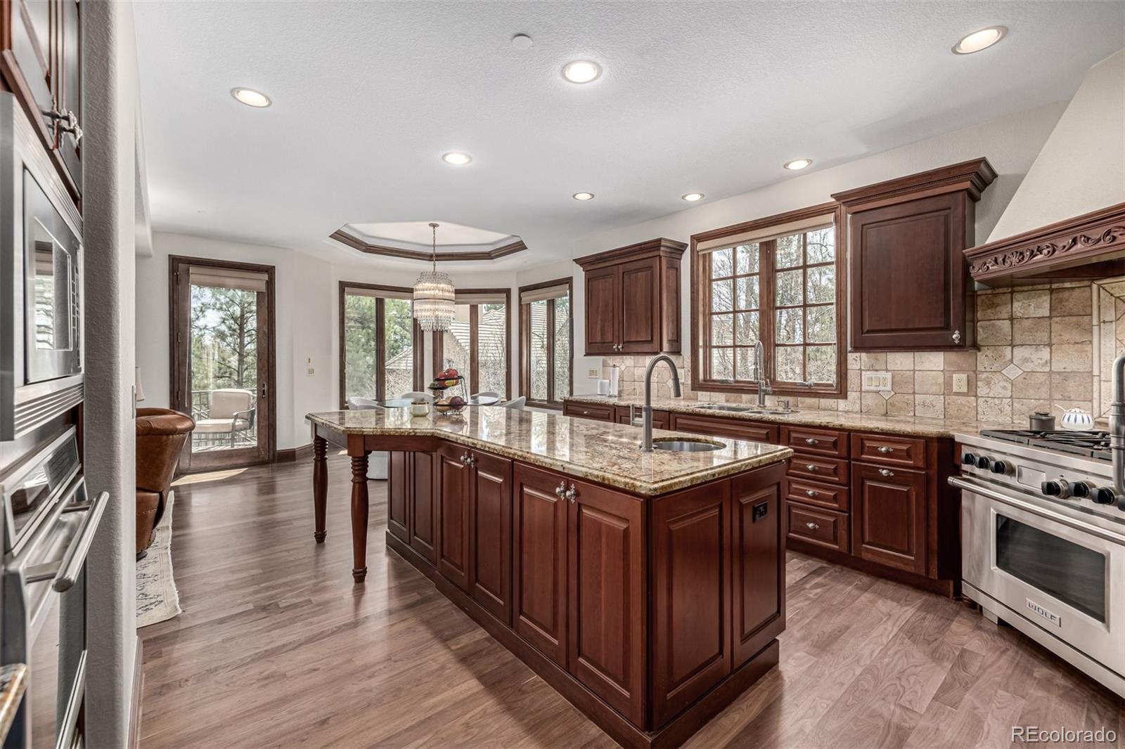 648 Ruby Trust Drive Castle Rock, CO 80108 - Photo 10 of 49 a kitchen with stainless steel appliances granite countertop a stove and a wooden floors