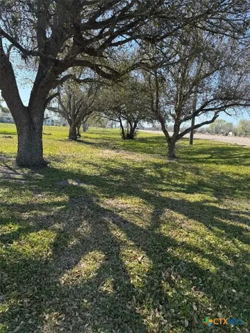 a view of yard with large trees