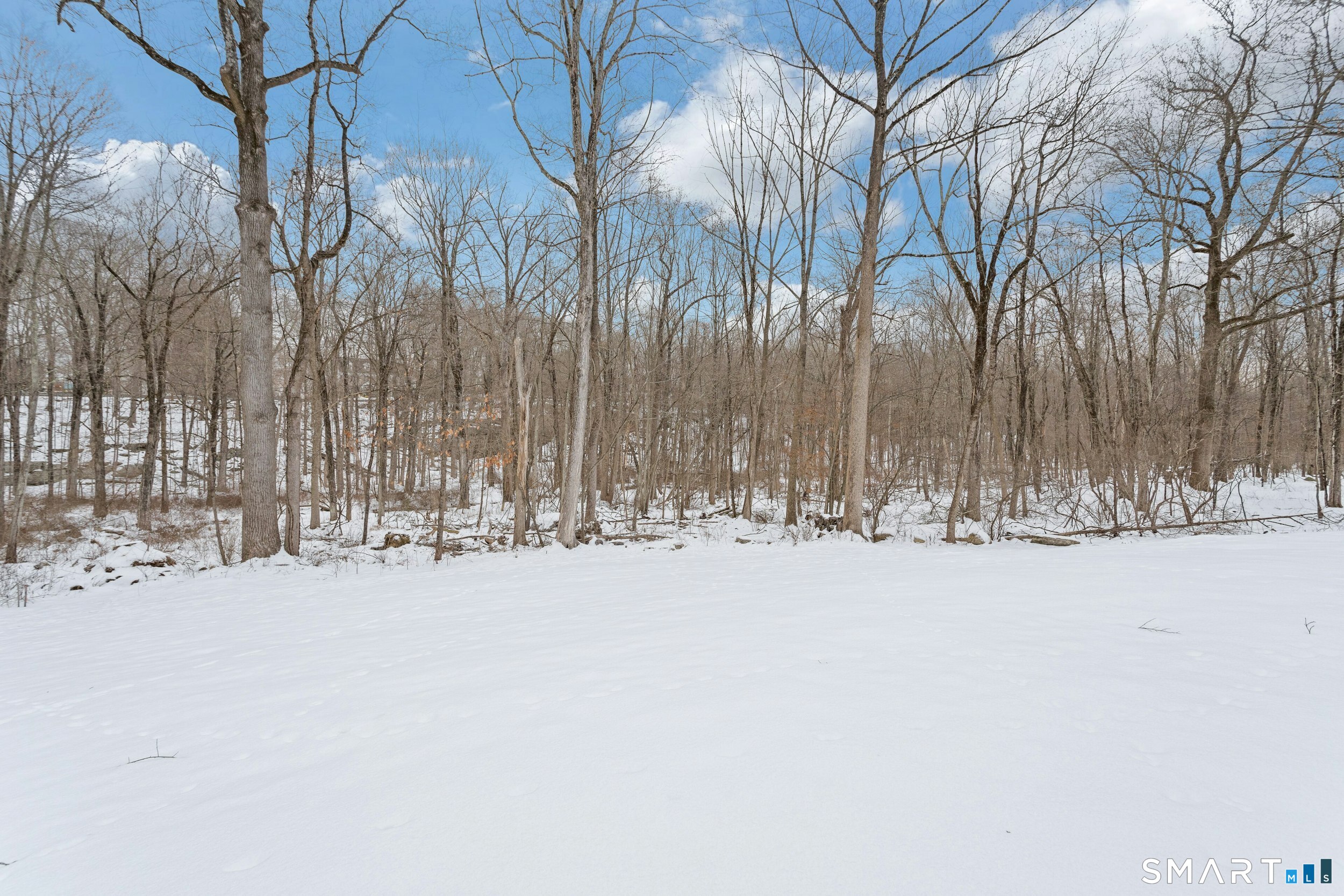 6 Morganti Court Ridgefield, CT 06877 - Photo 32 of 36 a view of snow on a road