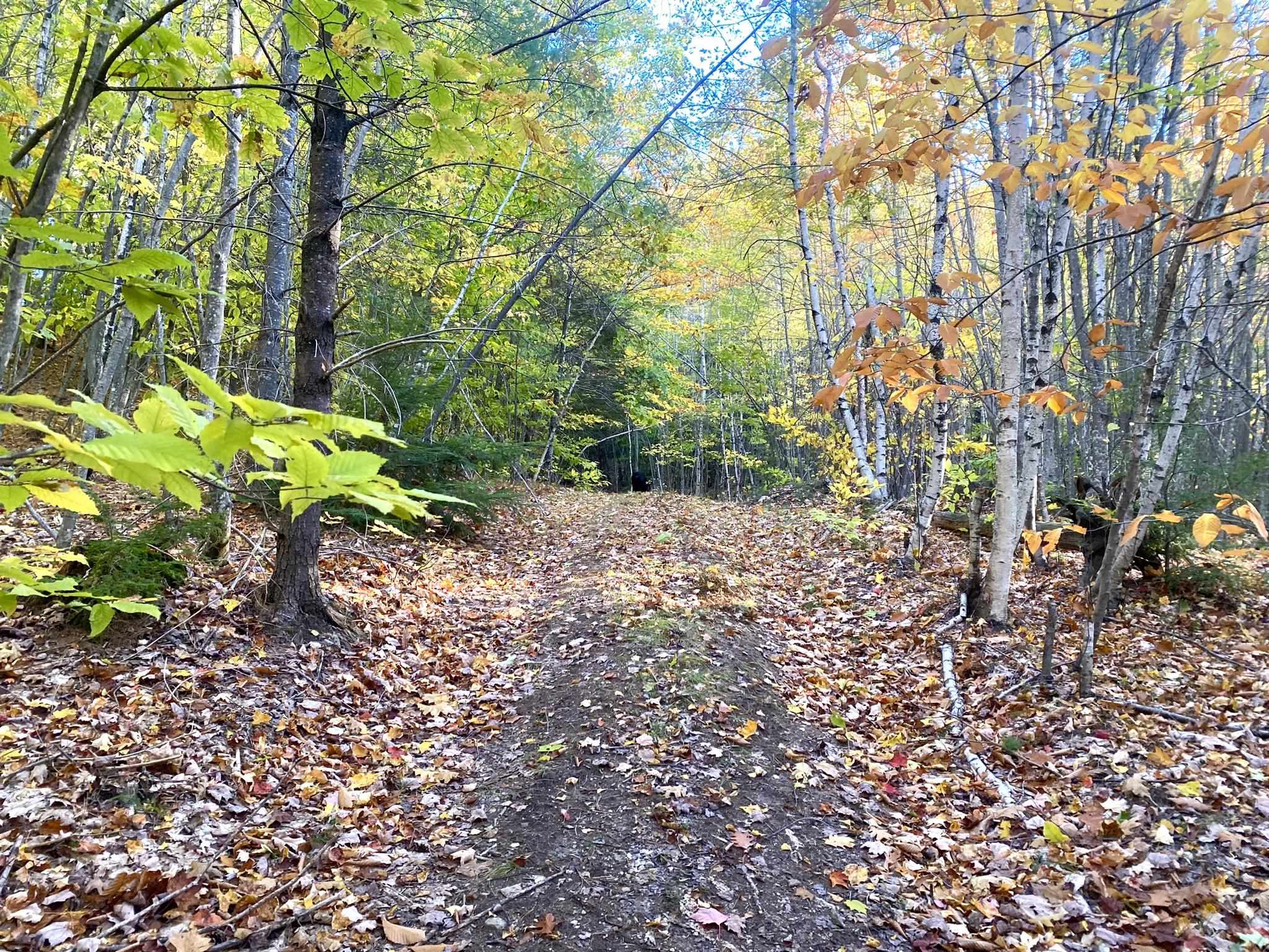 Bean Road, Unit 2 4 6 Center Conway, NH 03813 - Photo 11 of 60