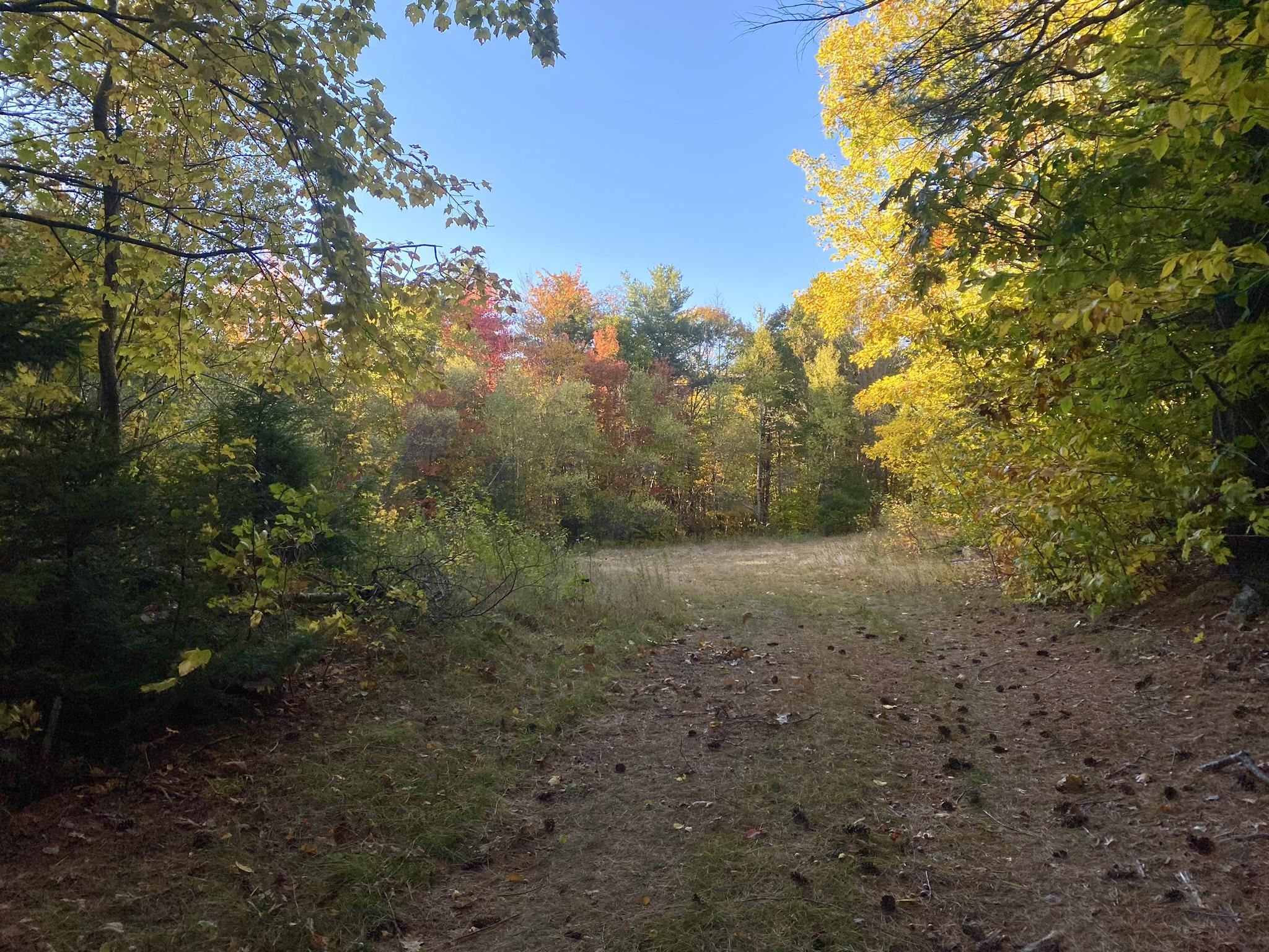 Bean Road, Unit 2 4 6 Center Conway, NH 03813 - Photo 13 of 60