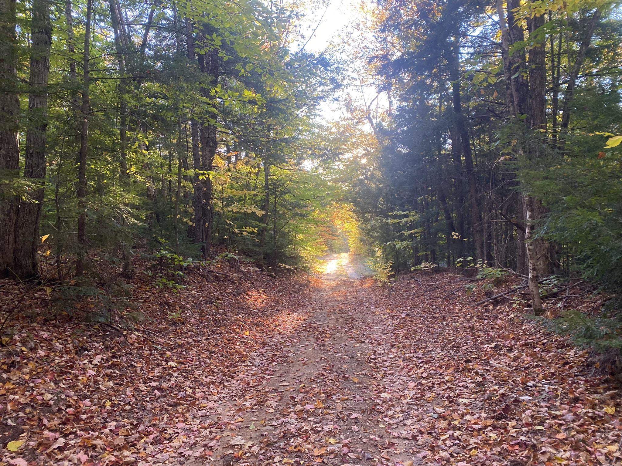 Bean Road, Unit 2 4 6 Center Conway, NH 03813 - Photo 14 of 60