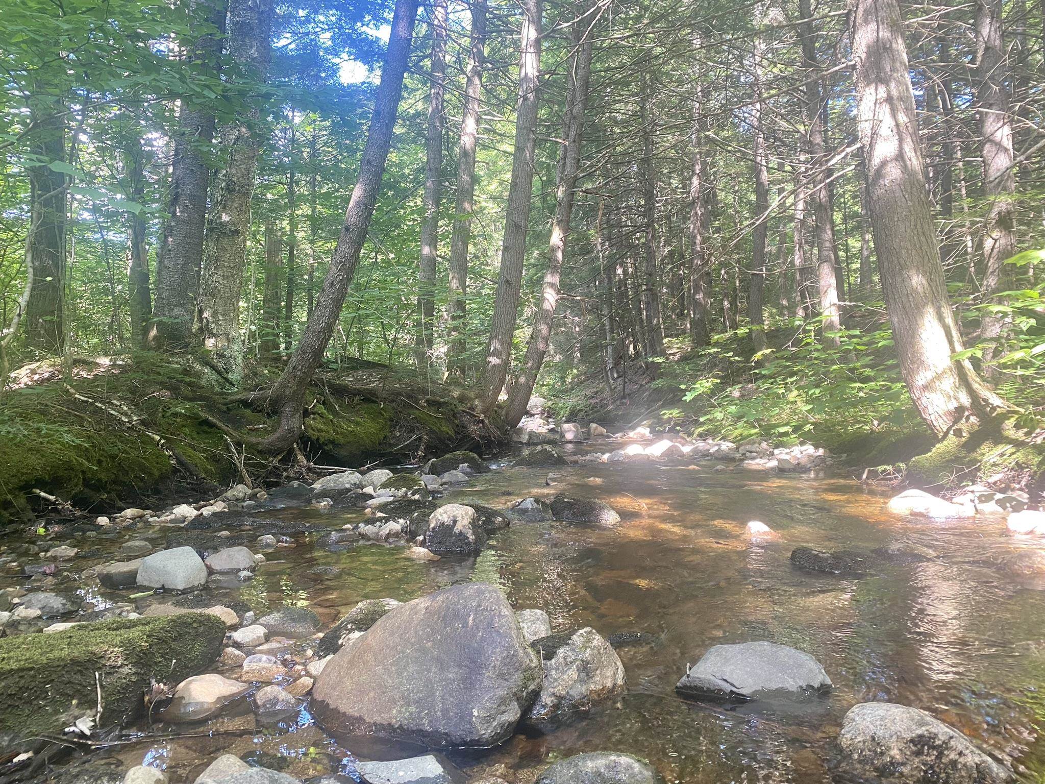 Bean Road, Unit 2 4 6 Center Conway, NH 03813 - Photo 18 of 60