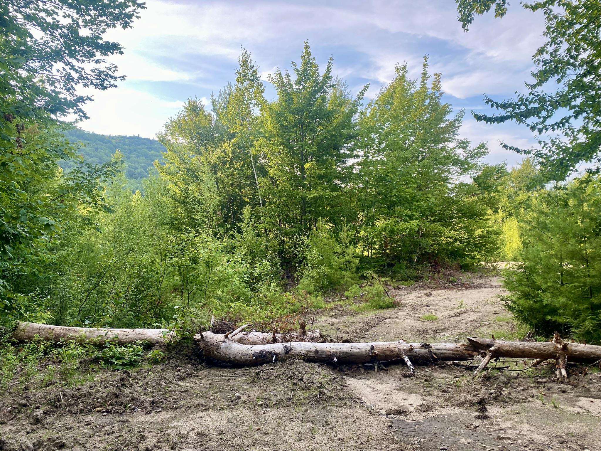 Bean Road, Unit 2 4 6 Center Conway, NH 03813 - Photo 19 of 60