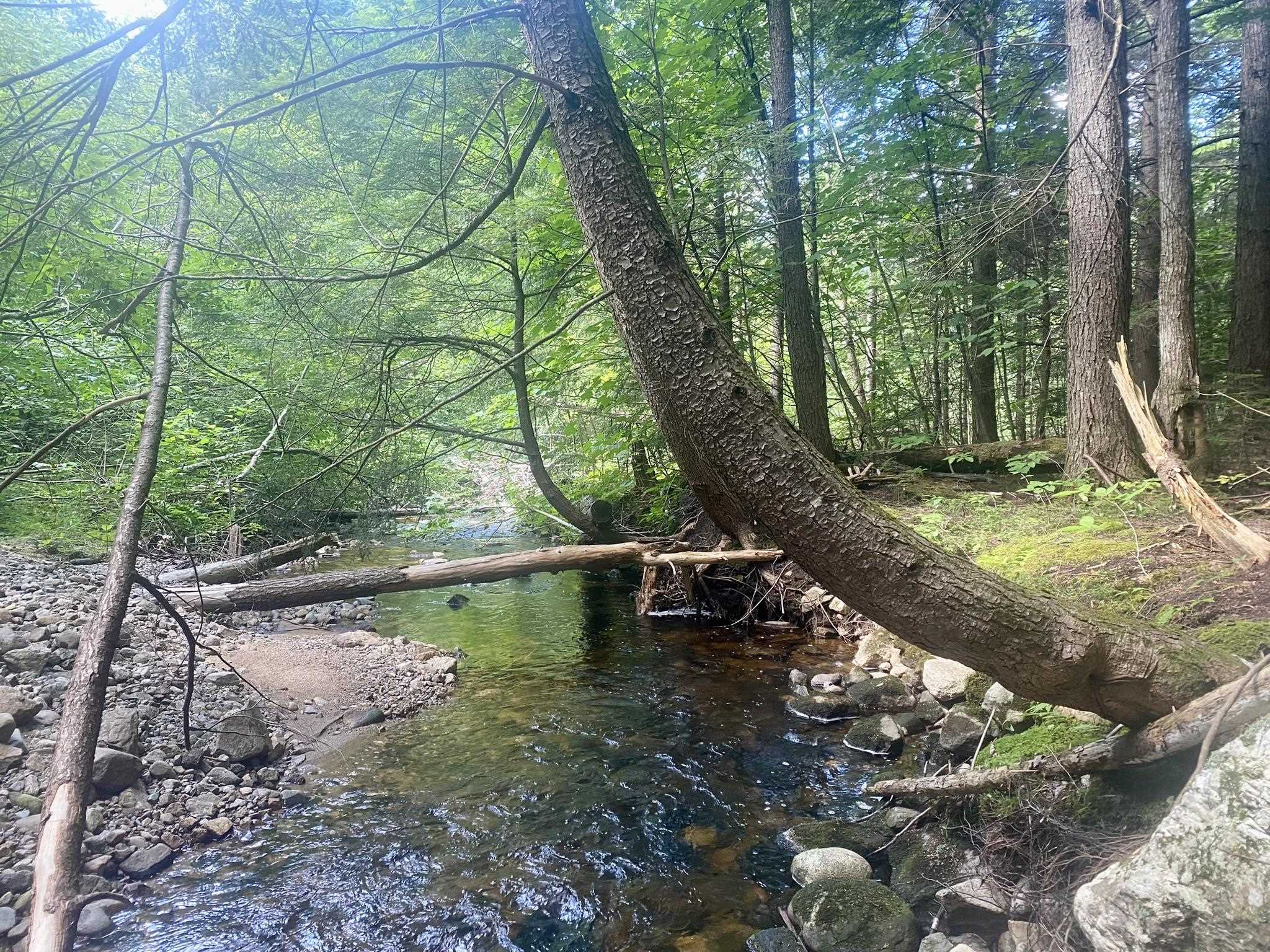 Bean Road, Unit 2 4 6 Center Conway, NH 03813 - Photo 21 of 60
