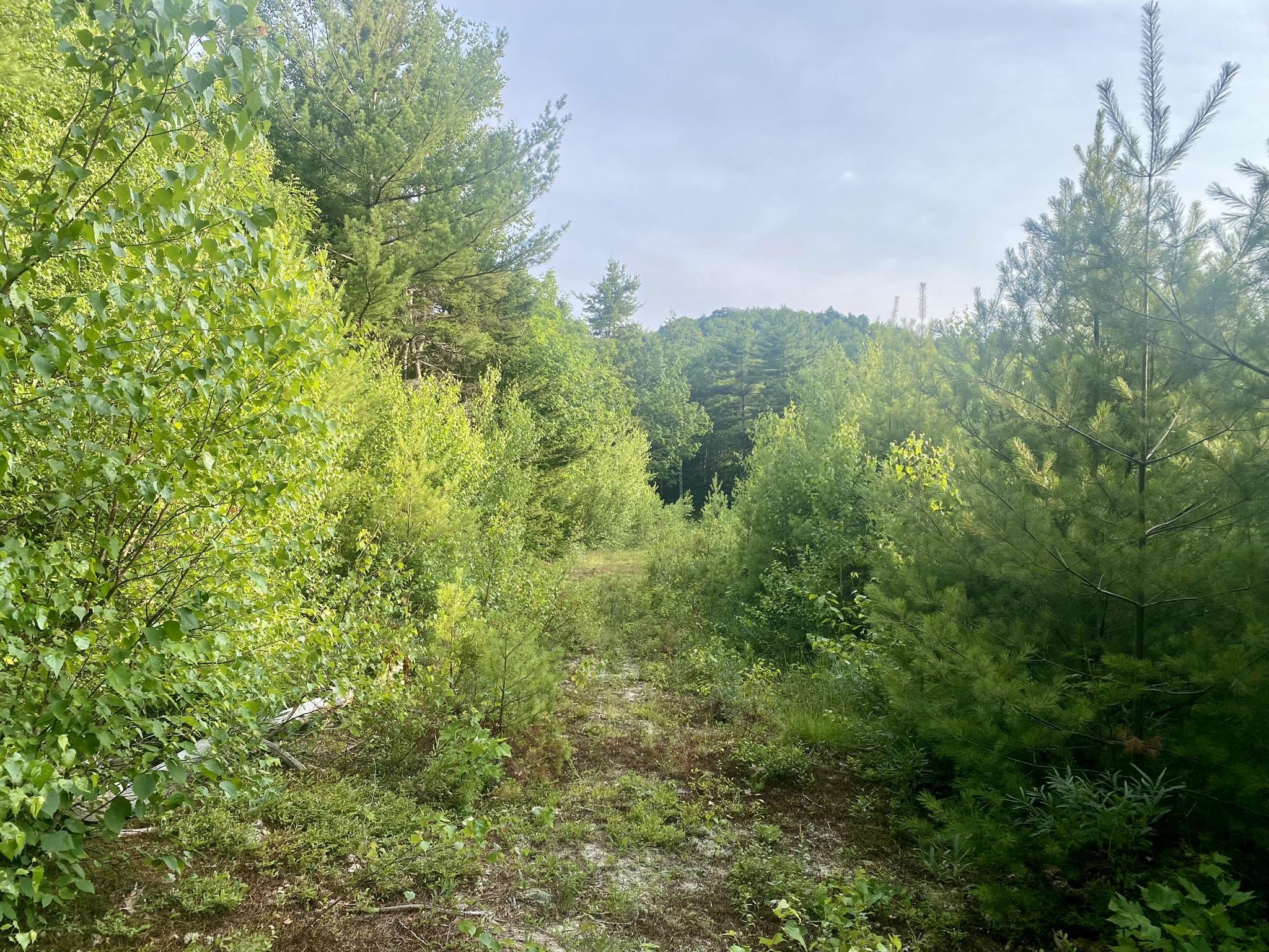 Bean Road, Unit 2 4 6 Center Conway, NH 03813 - Photo 24 of 60