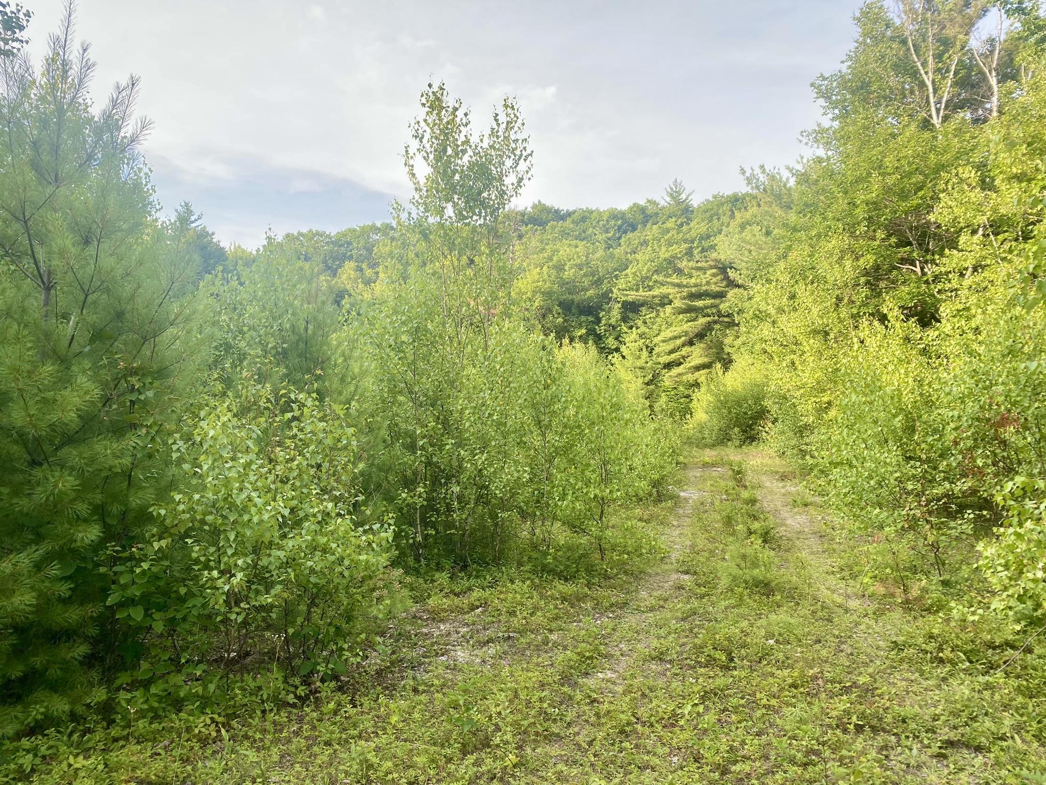 Bean Road, Unit 2 4 6 Center Conway, NH 03813 - Photo 25 of 60