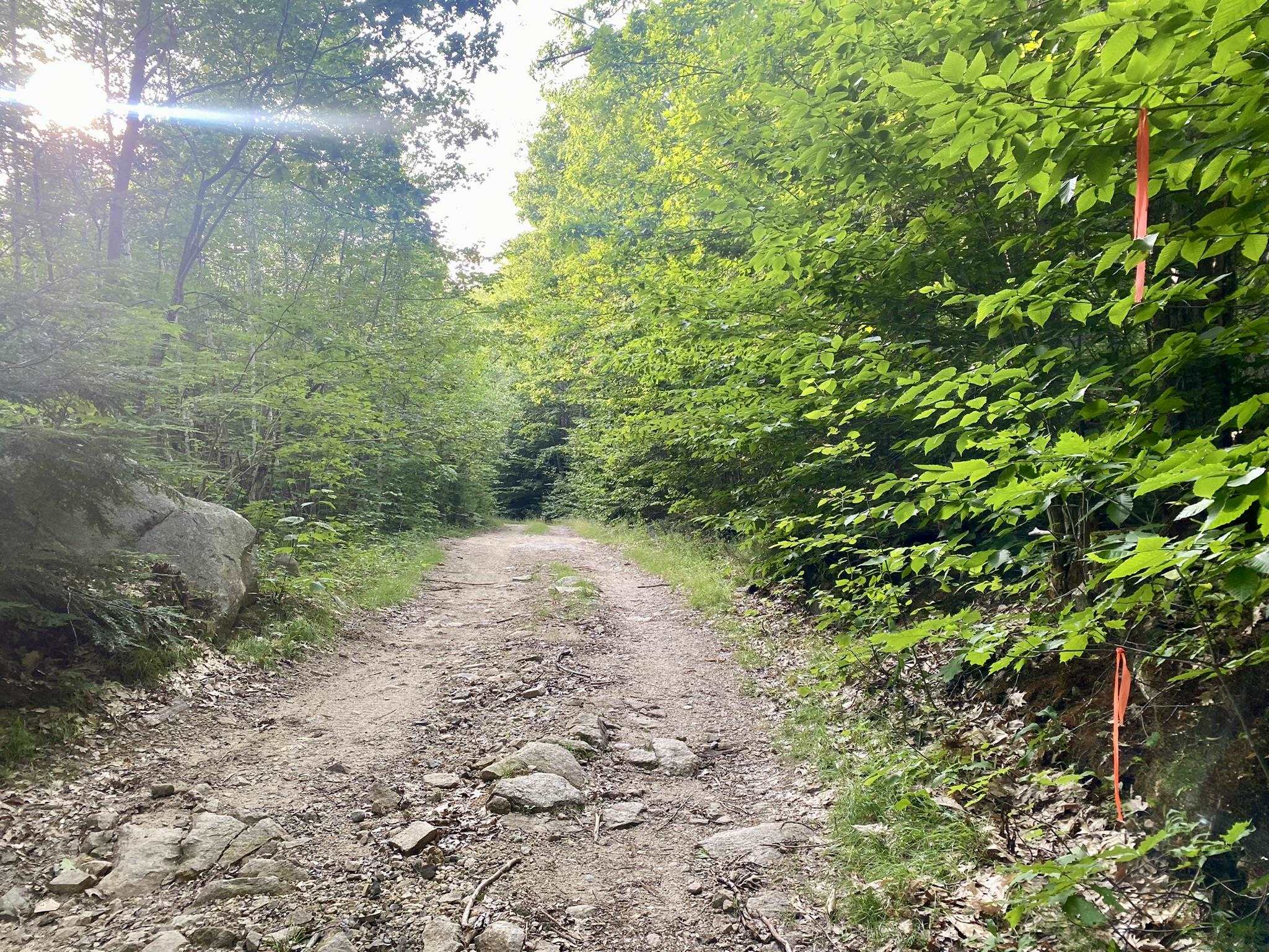 Bean Road, Unit 2 4 6 Center Conway, NH 03813 - Photo 26 of 60