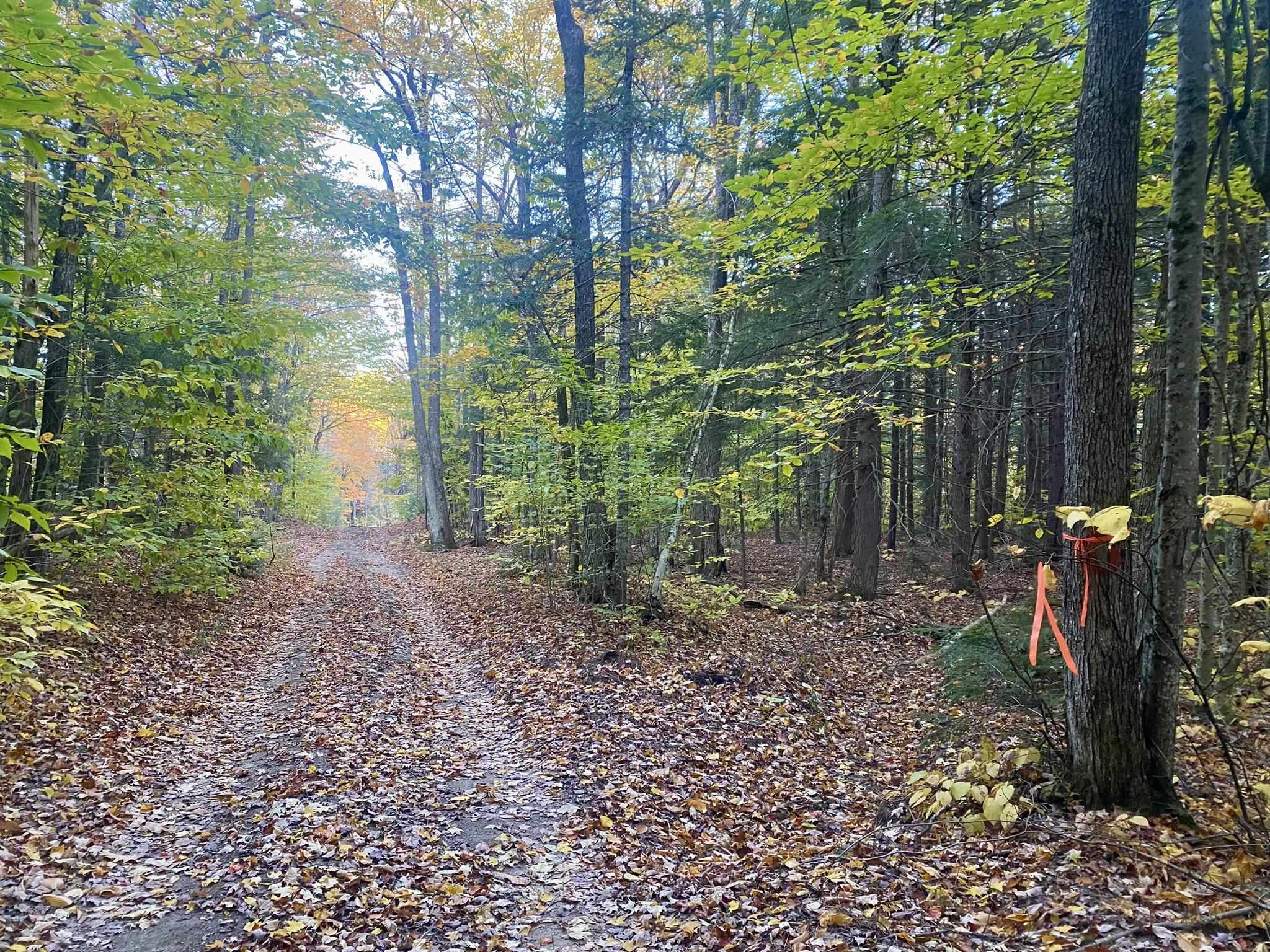 Bean Road, Unit 2 4 6 Center Conway, NH 03813 - Photo 30 of 60