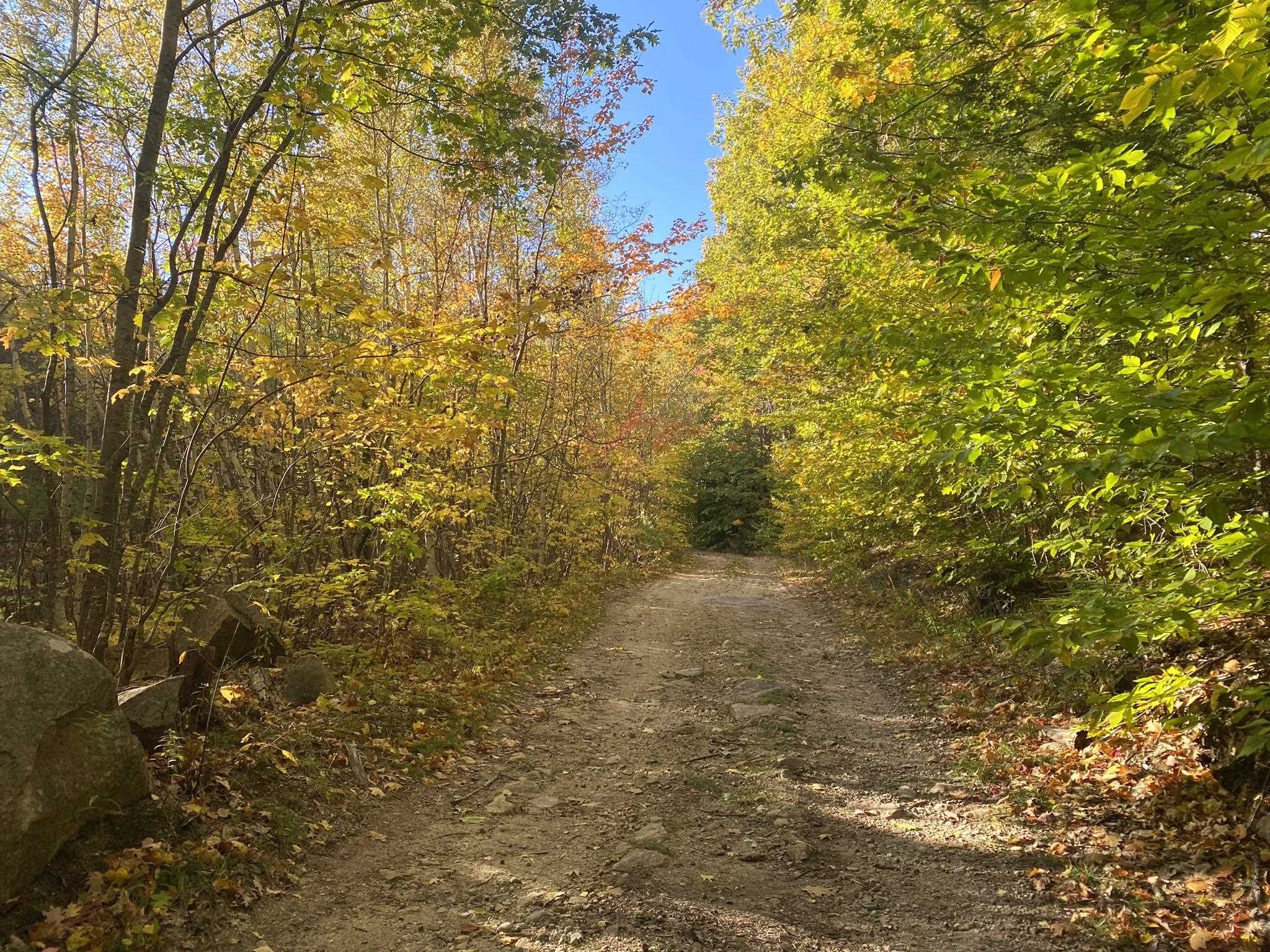 Bean Road, Unit 2 4 6 Center Conway, NH 03813 - Photo 37 of 60