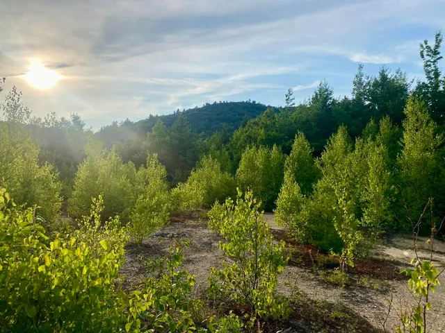 $375,000 | Bean Road, Unit 2 4 6, Center Conway, NH 03813