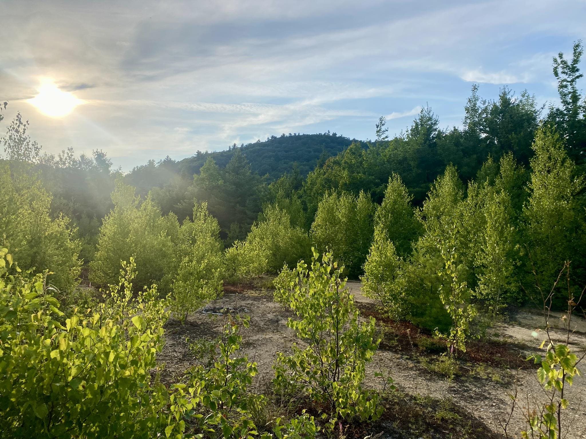 Bean Road, Unit 2 4 6 Center Conway, NH 03813 - Photo 44 of 60