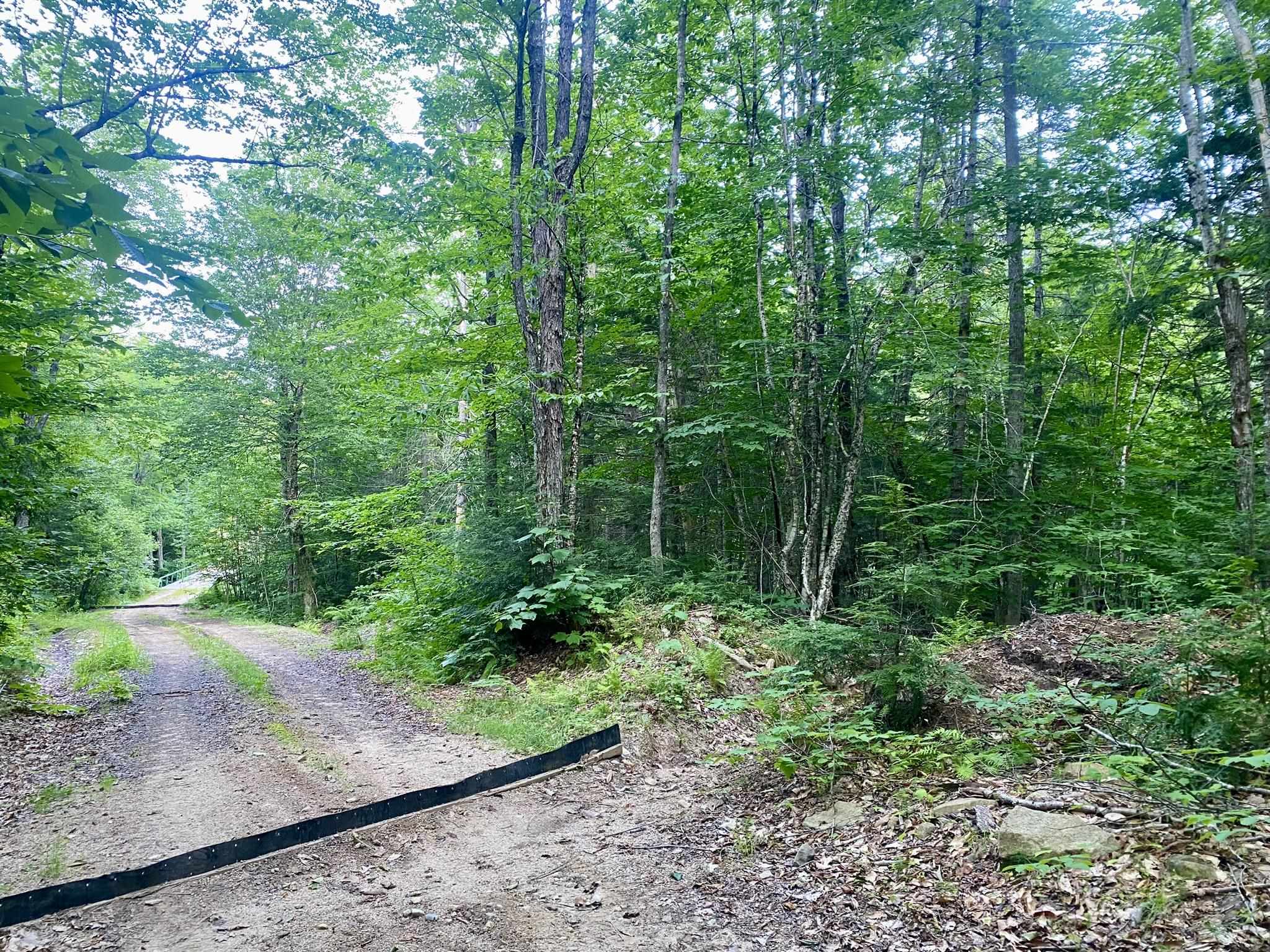 Bean Road, Unit 2 4 6 Center Conway, NH 03813 - Photo 47 of 60