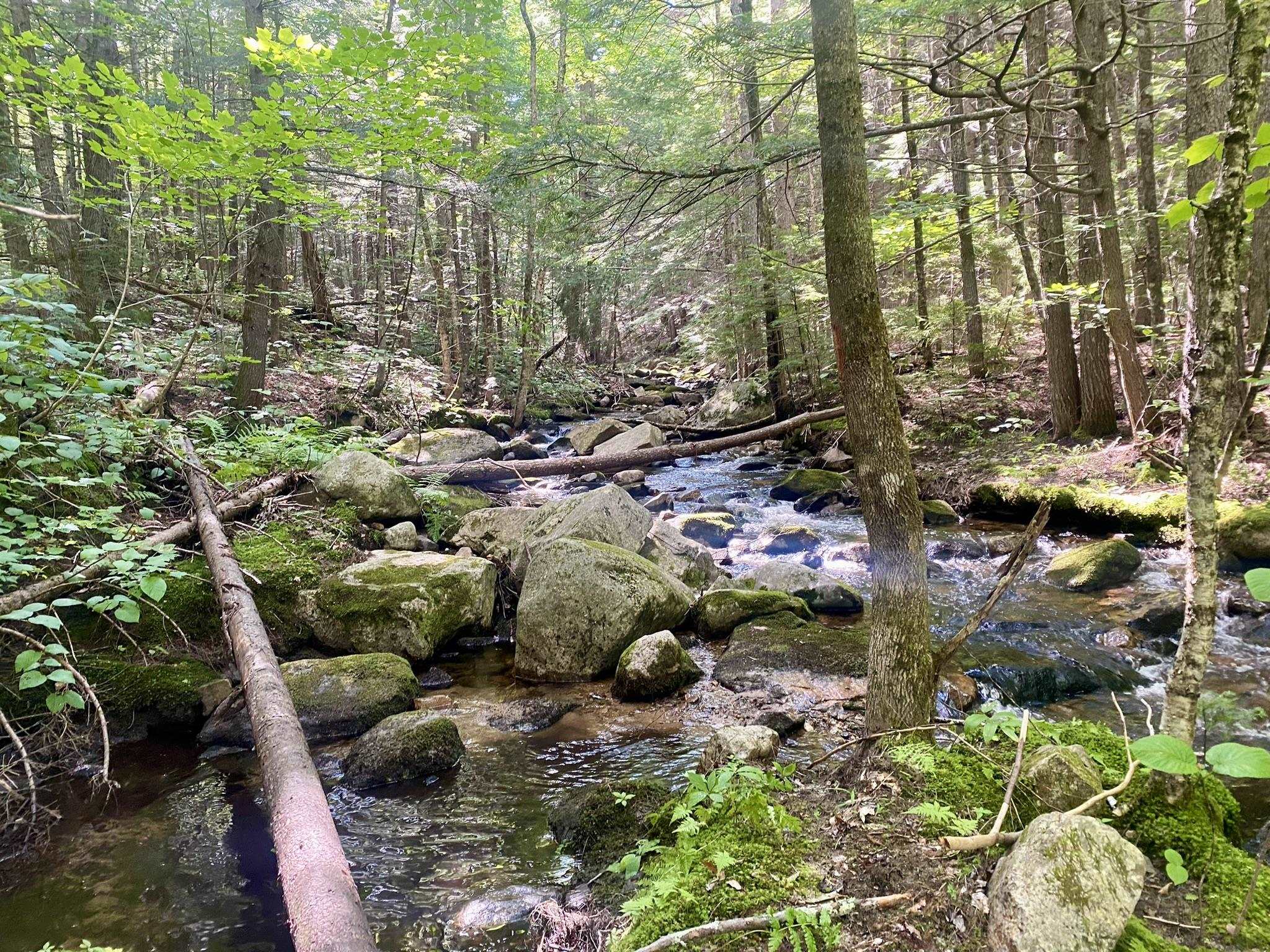 Bean Road, Unit 2 4 6 Center Conway, NH 03813 - Photo 49 of 60