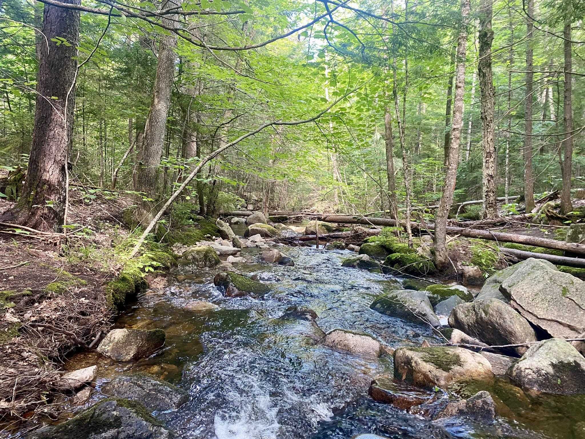 Bean Road, Unit 2 4 6 Center Conway, NH 03813 - Photo 50 of 60