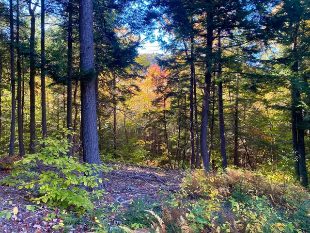 $375,000 | Bean Road, Unit 2 4 6, Center Conway, NH 03813