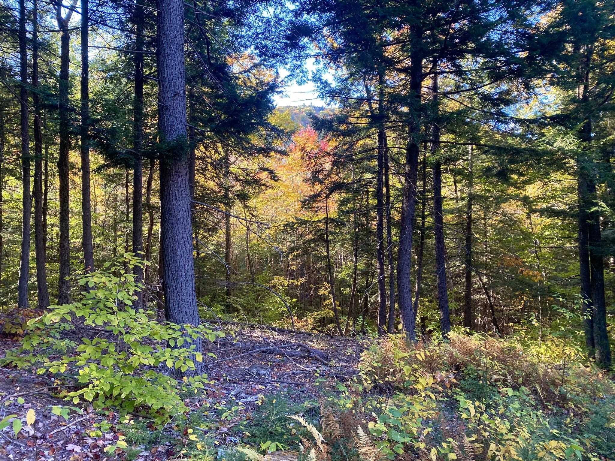 Bean Road, Unit 2 4 6 Center Conway, NH 03813 - Photo 5 of 60