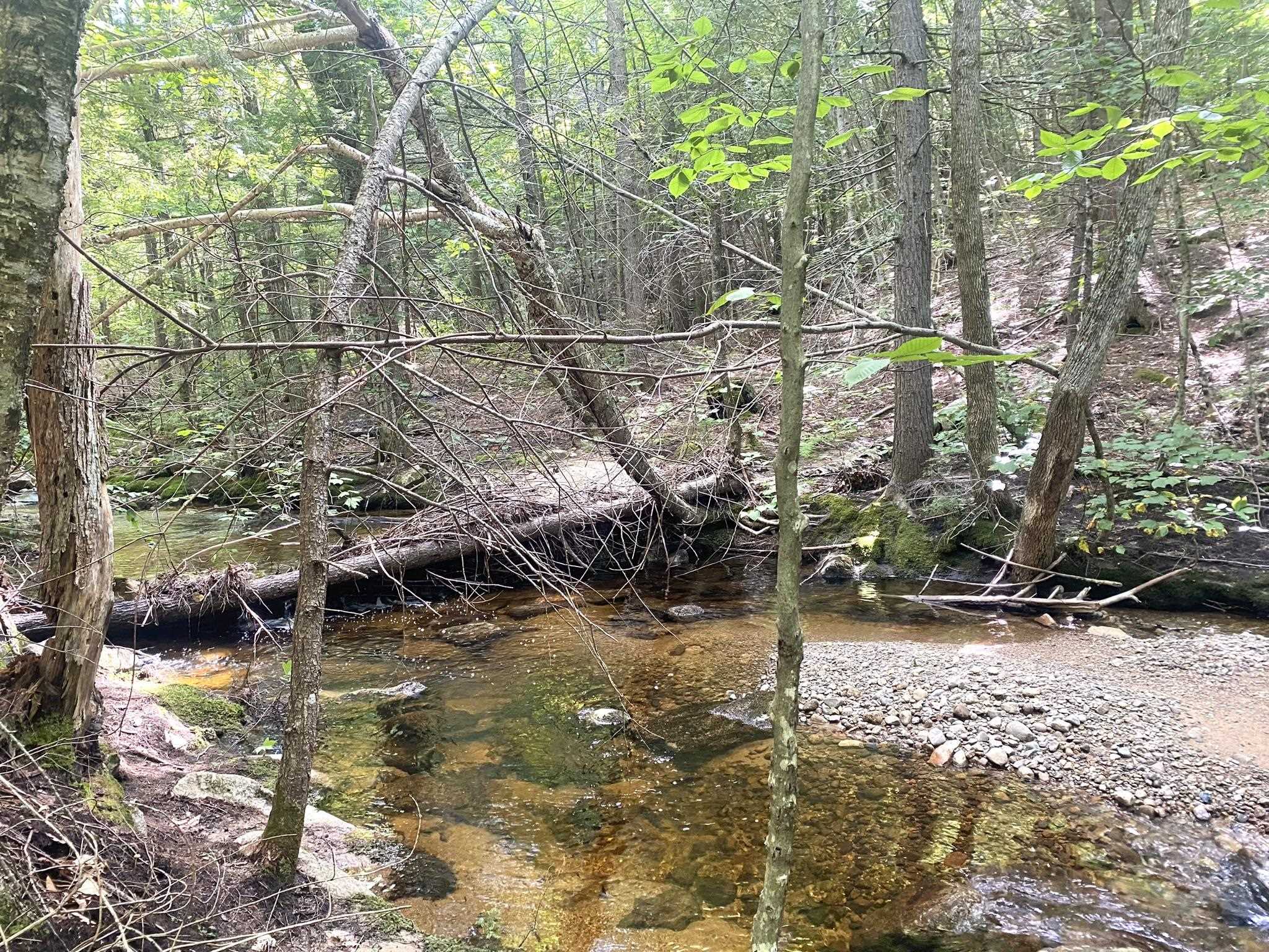 Bean Road, Unit 2 4 6 Center Conway, NH 03813 - Photo 53 of 60