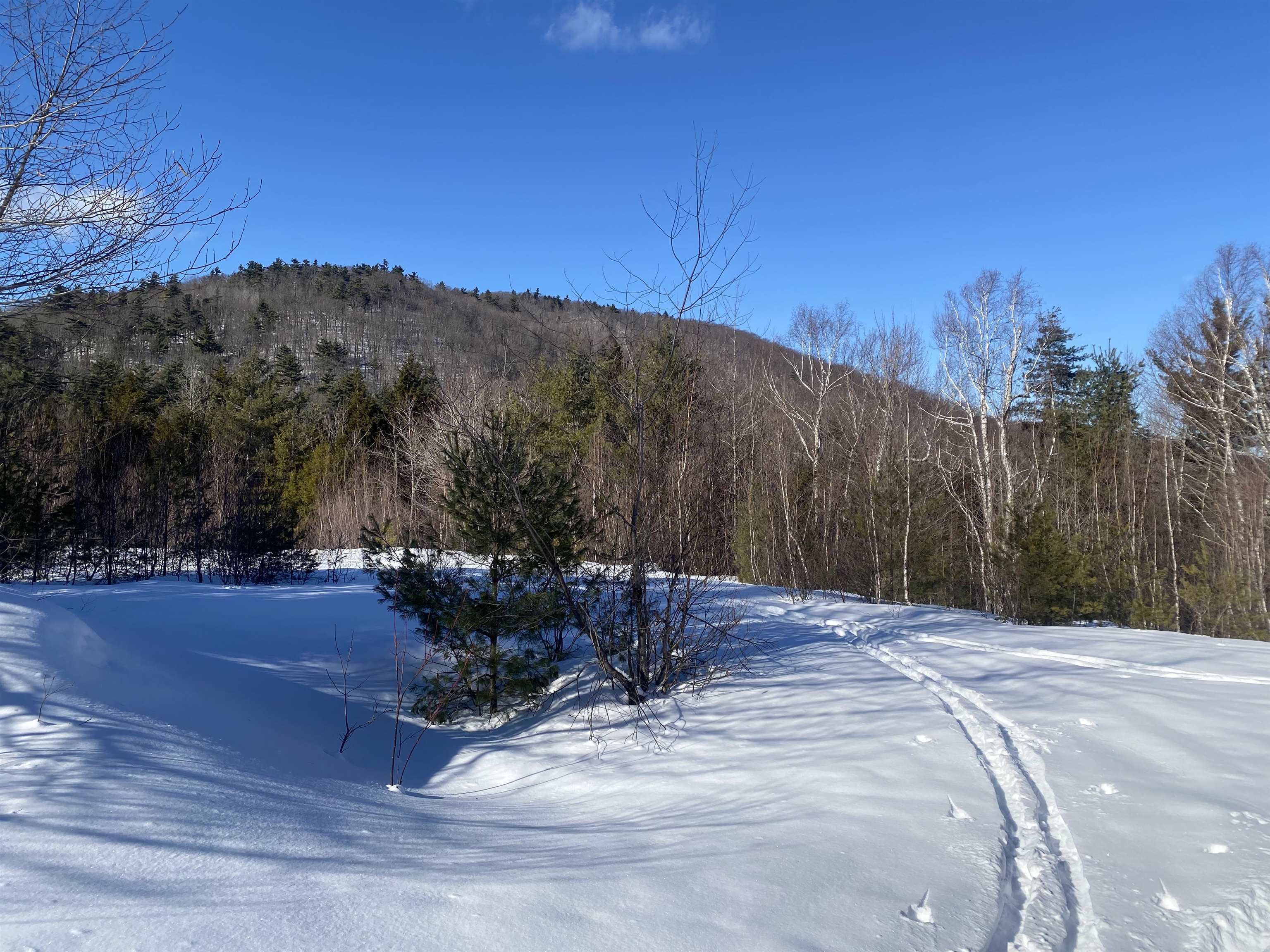 Bean Road, Unit 2 4 6 Center Conway, NH 03813 - Photo 56 of 60